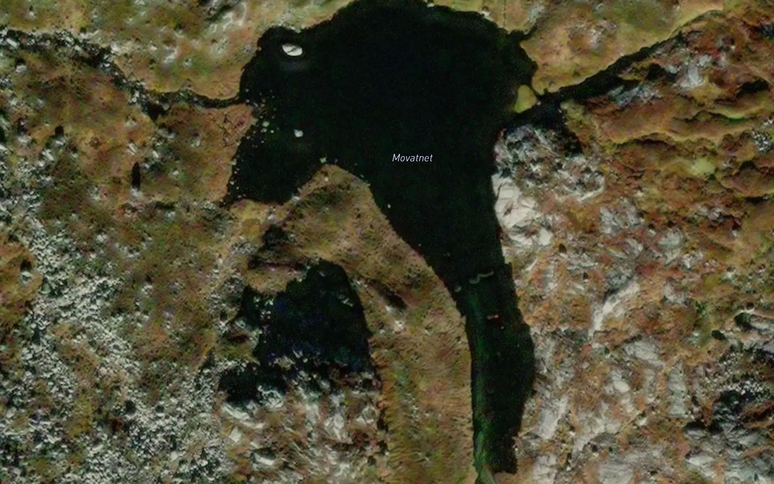 Movatnet
