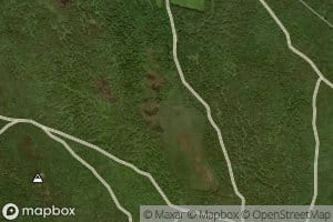 Perry Brook