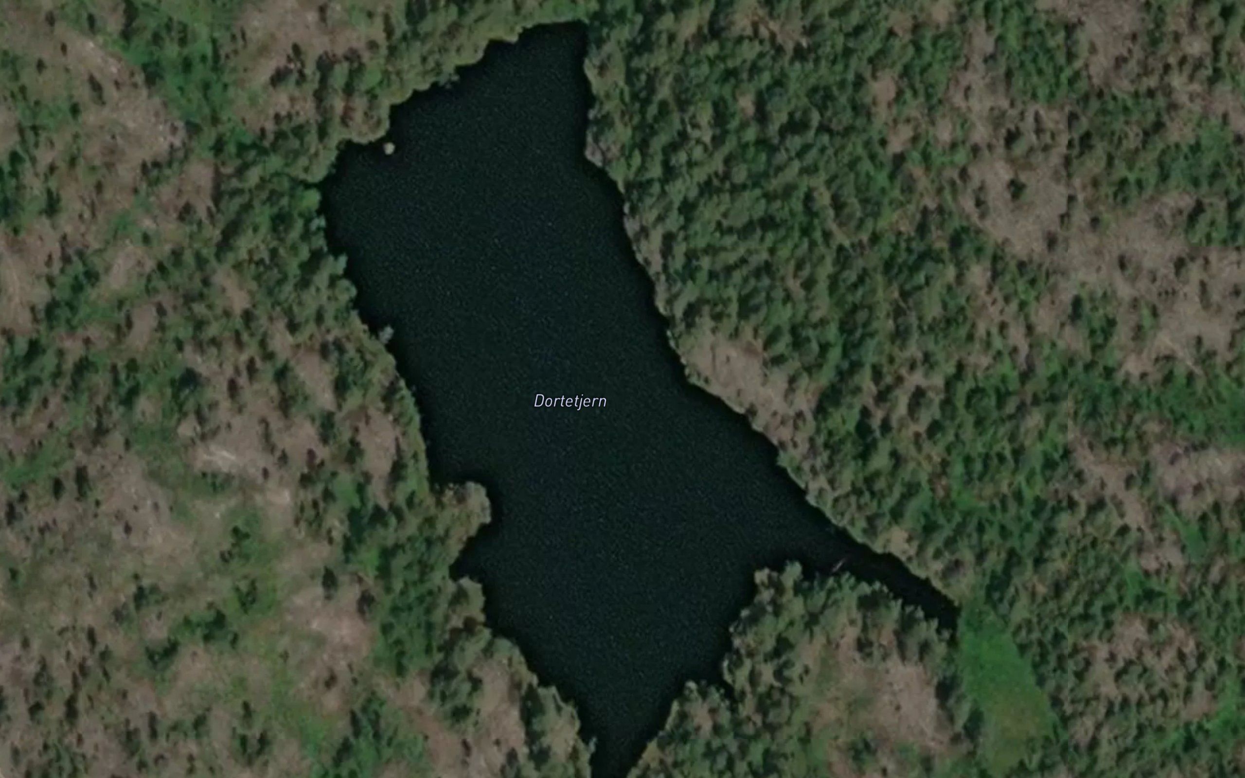 Steindamtjerna