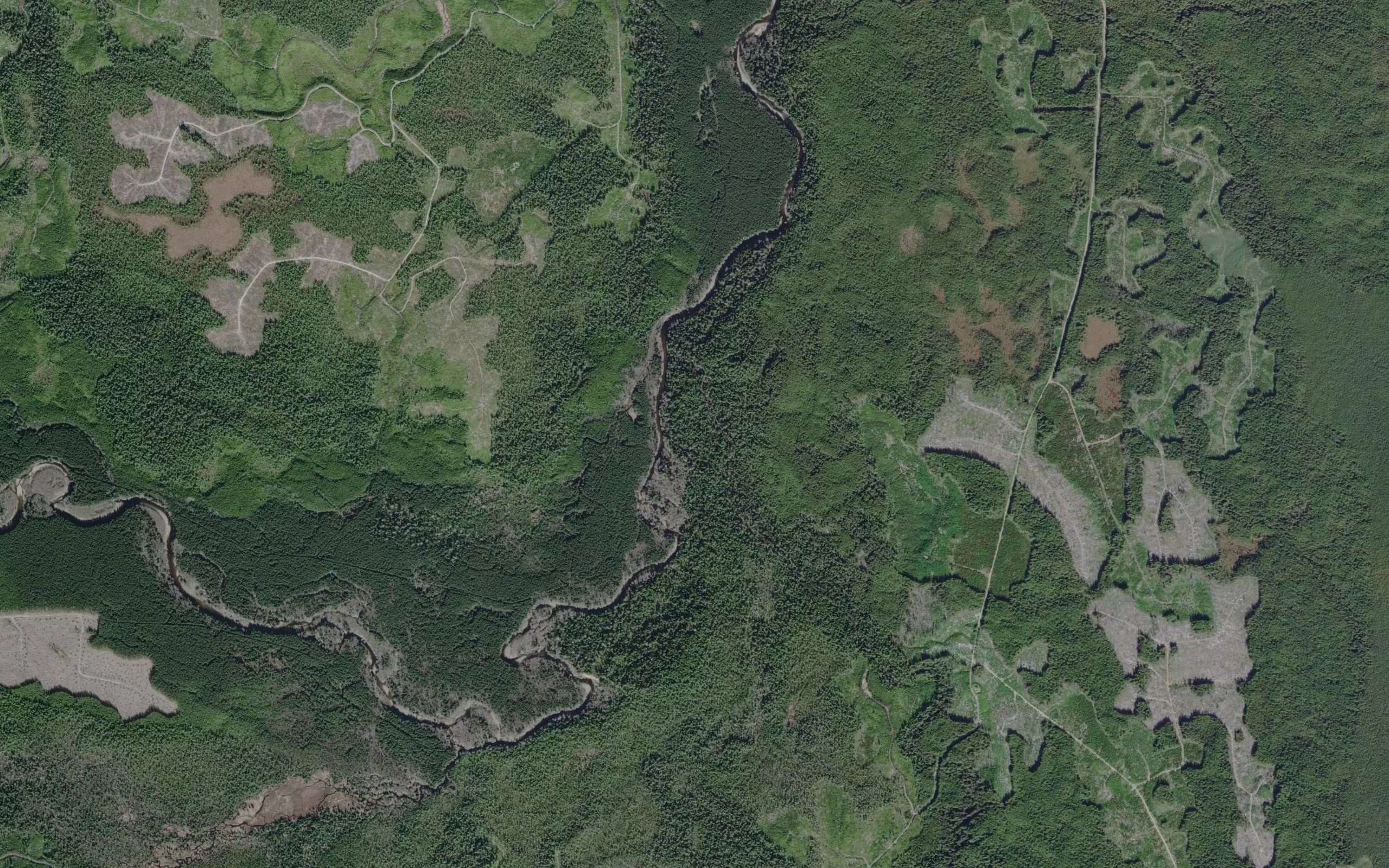 Blackbear Creek