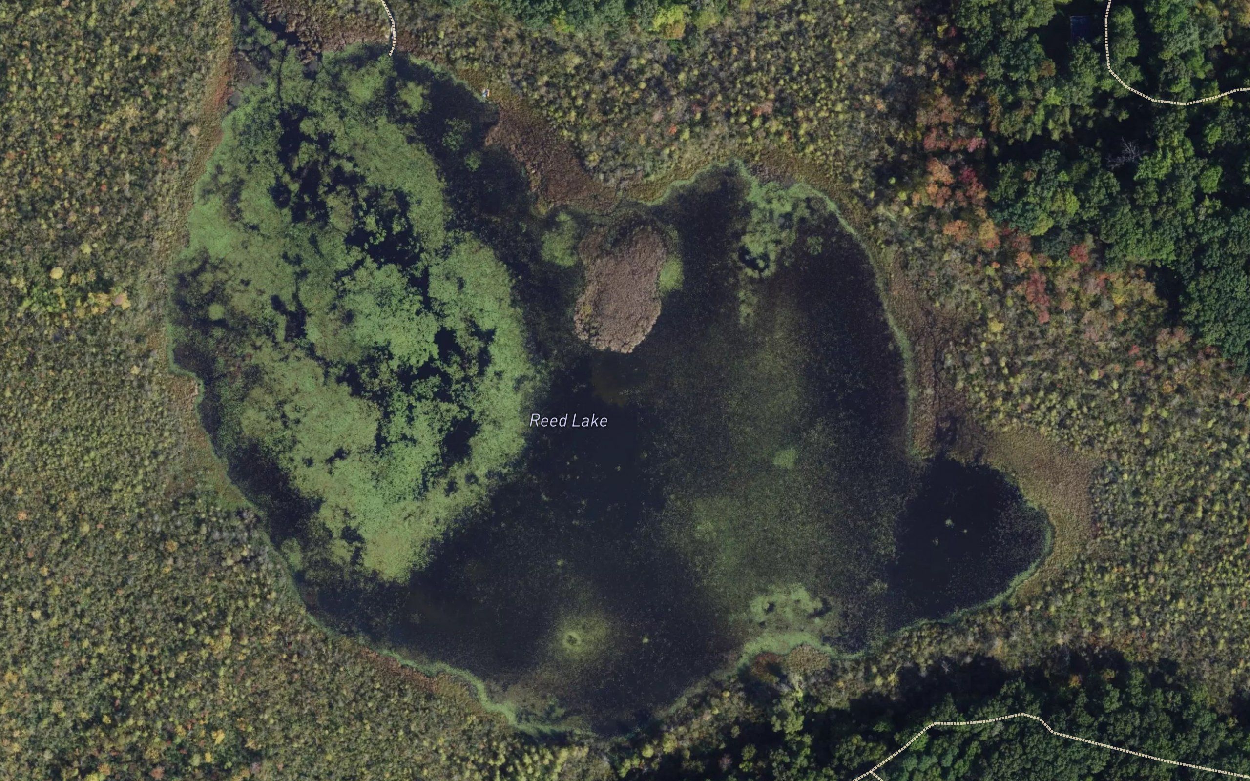 Reed Lake