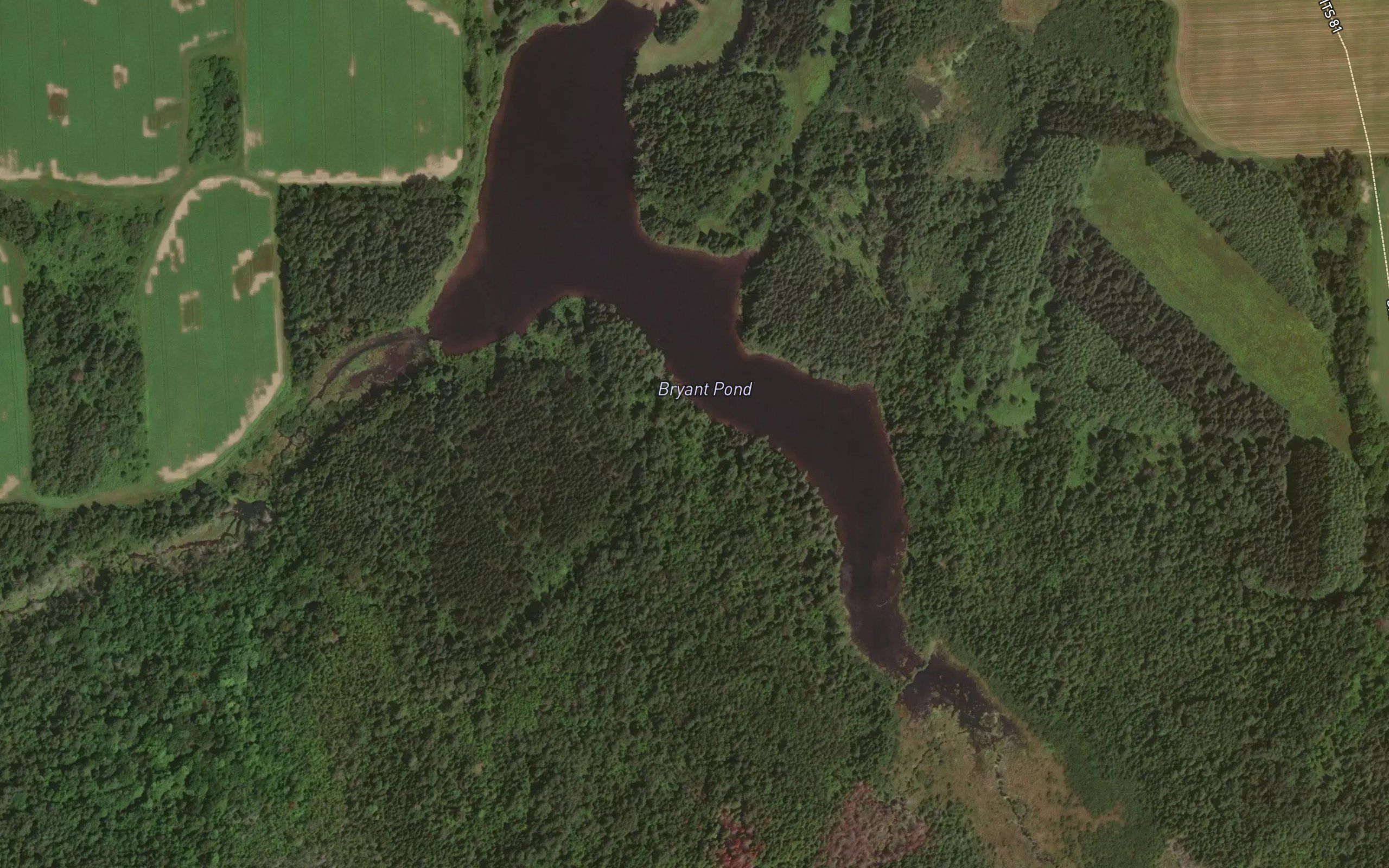 Bryant Pond