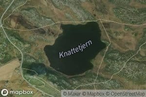 Knattetjednet