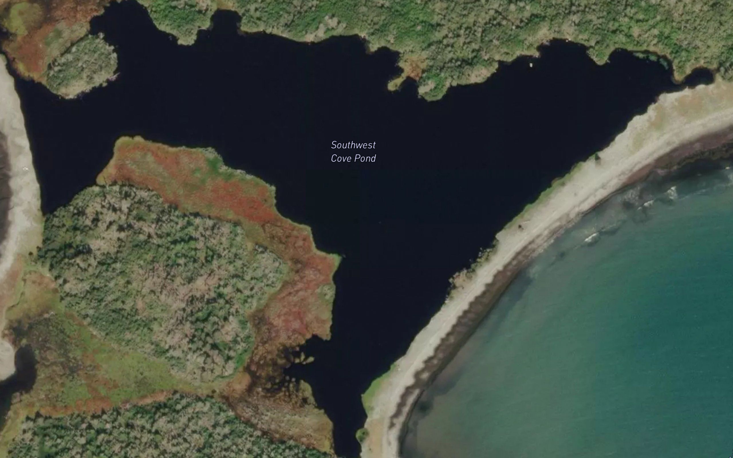 Southwest Cove Pond
