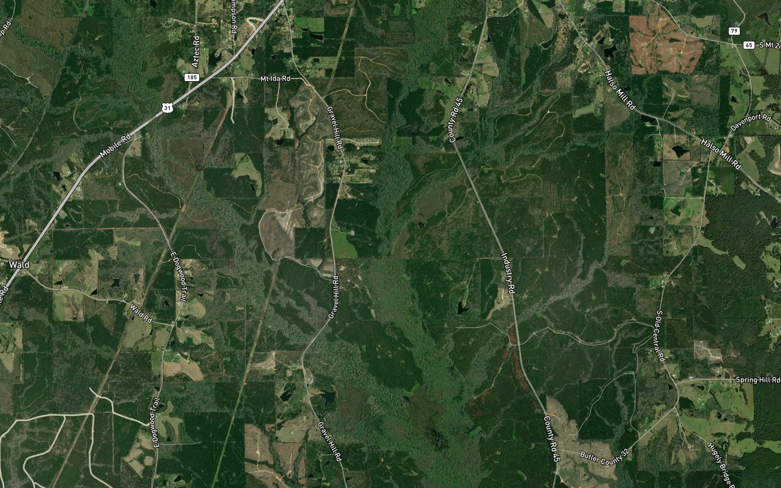 Piney Woods Creek
