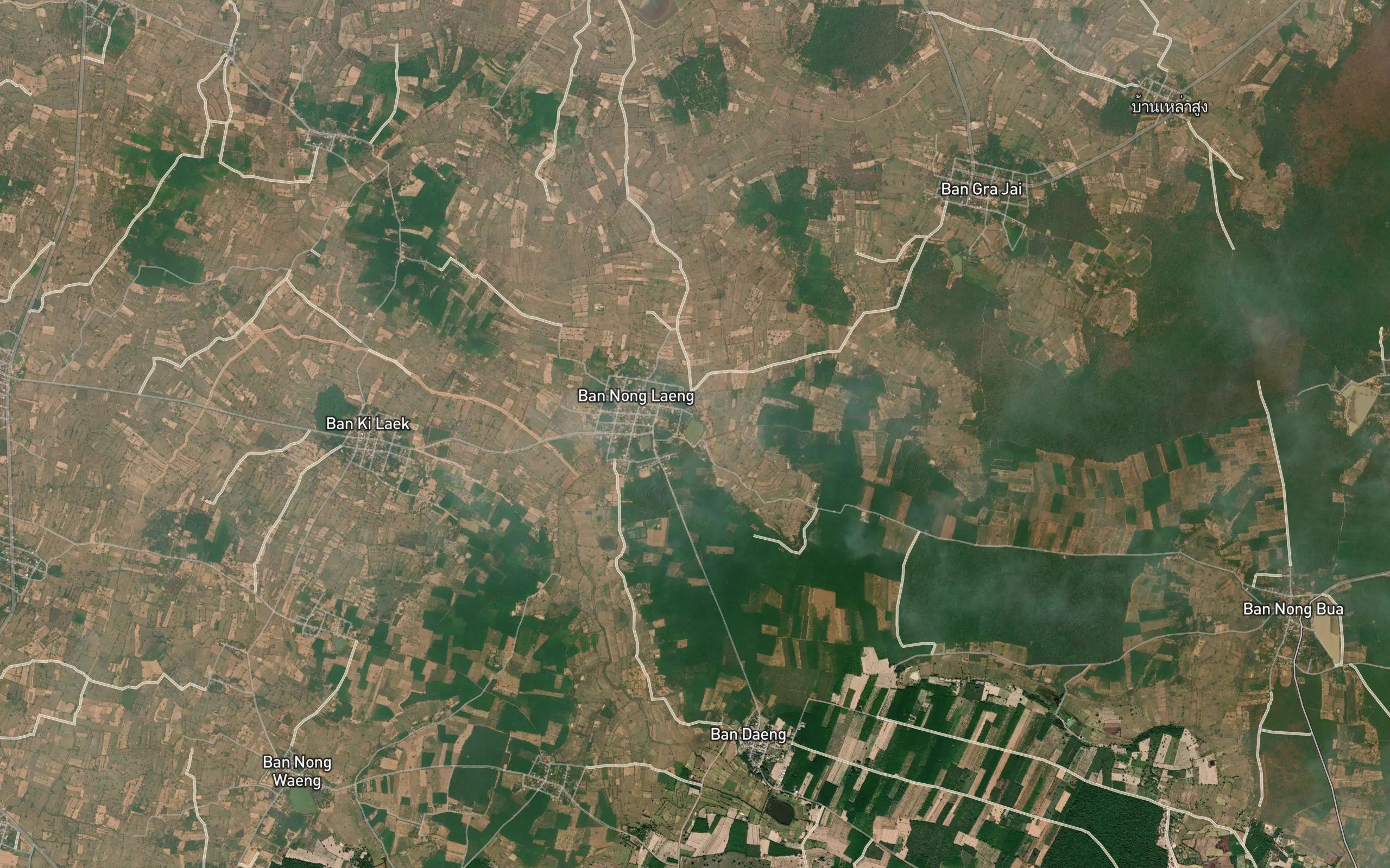 Nong Sim