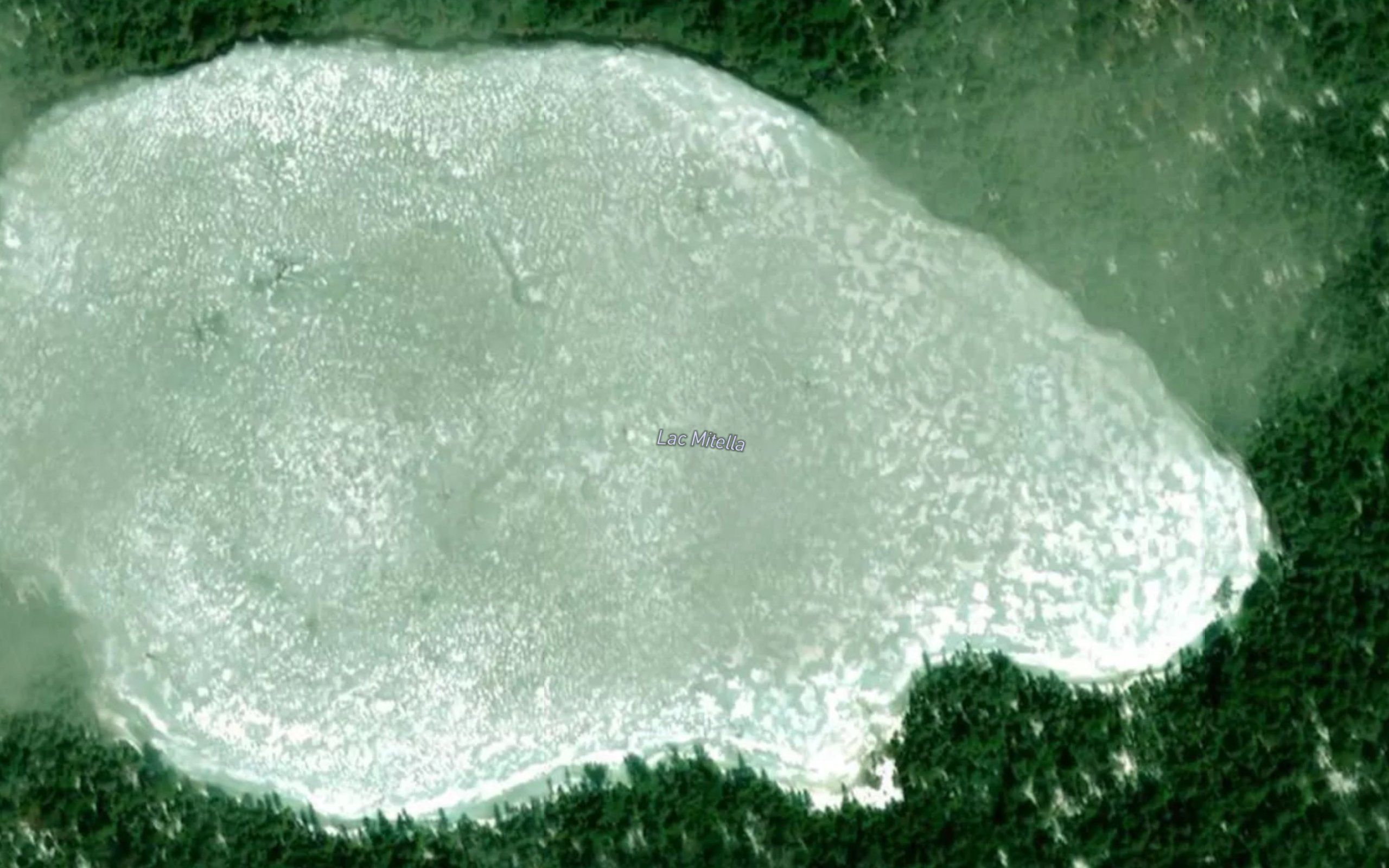 Lac Mitella