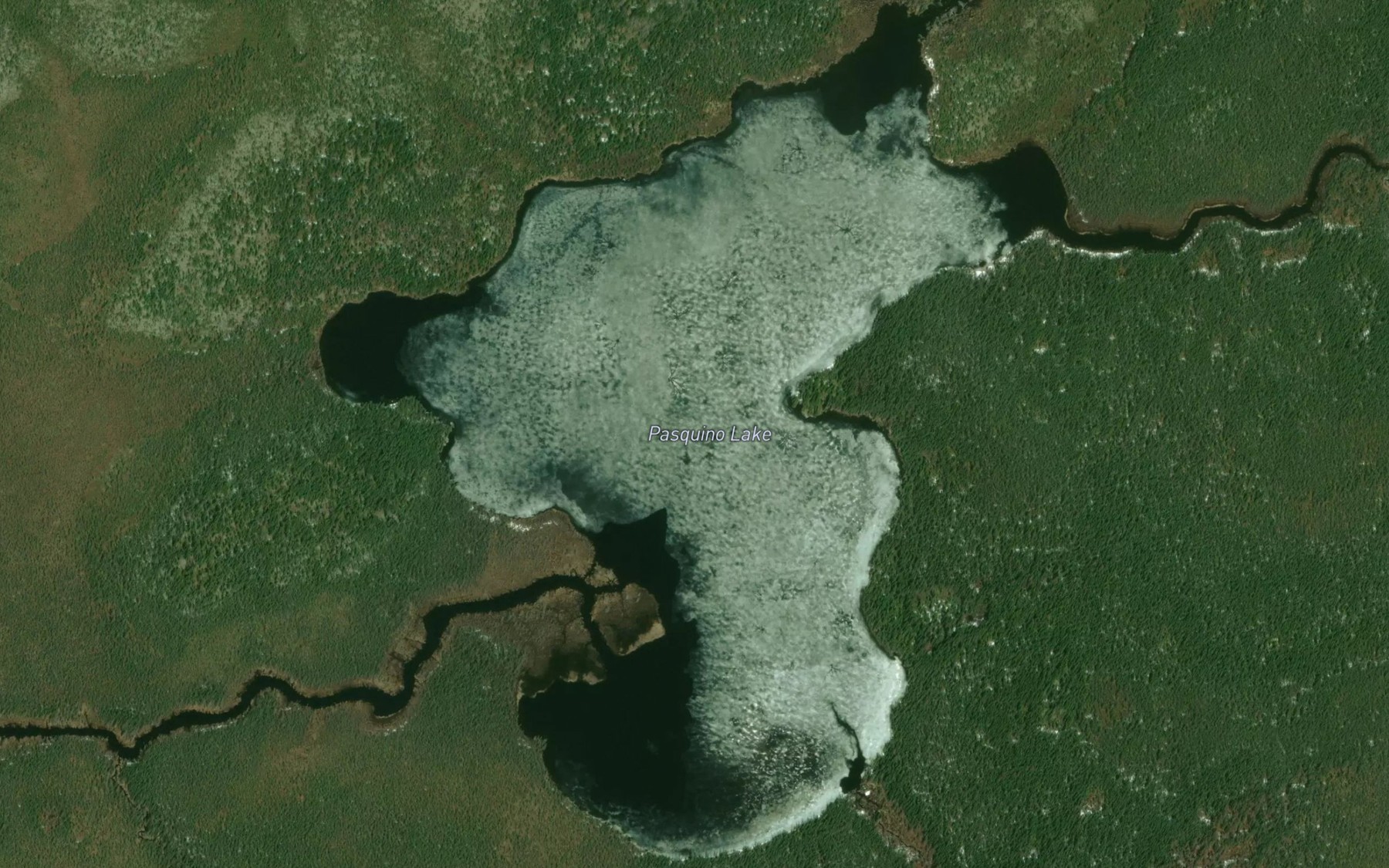 Satellite map of the Pasquino Lake