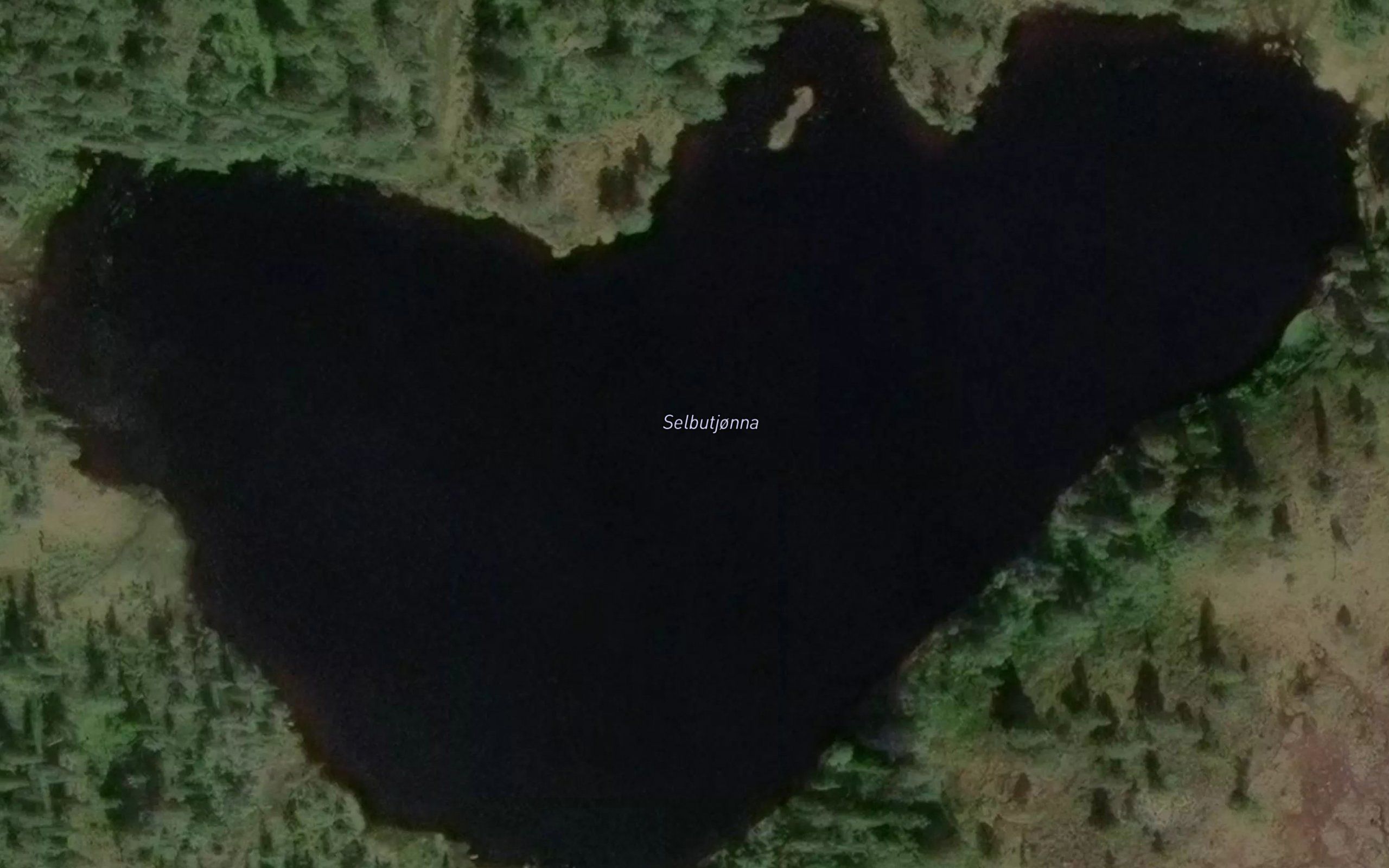 Selbutjorna