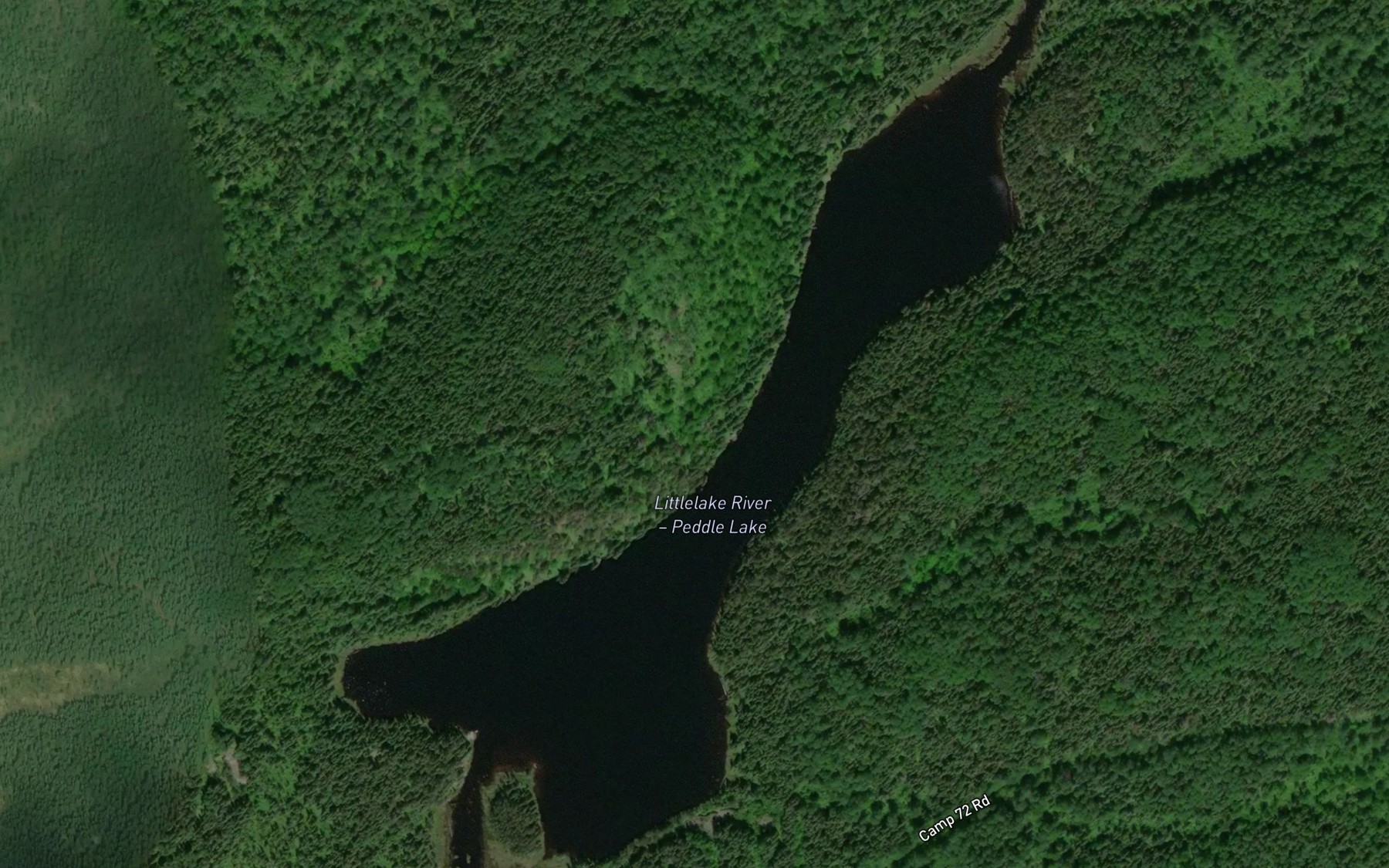 Satellite map of the Peddle Lake