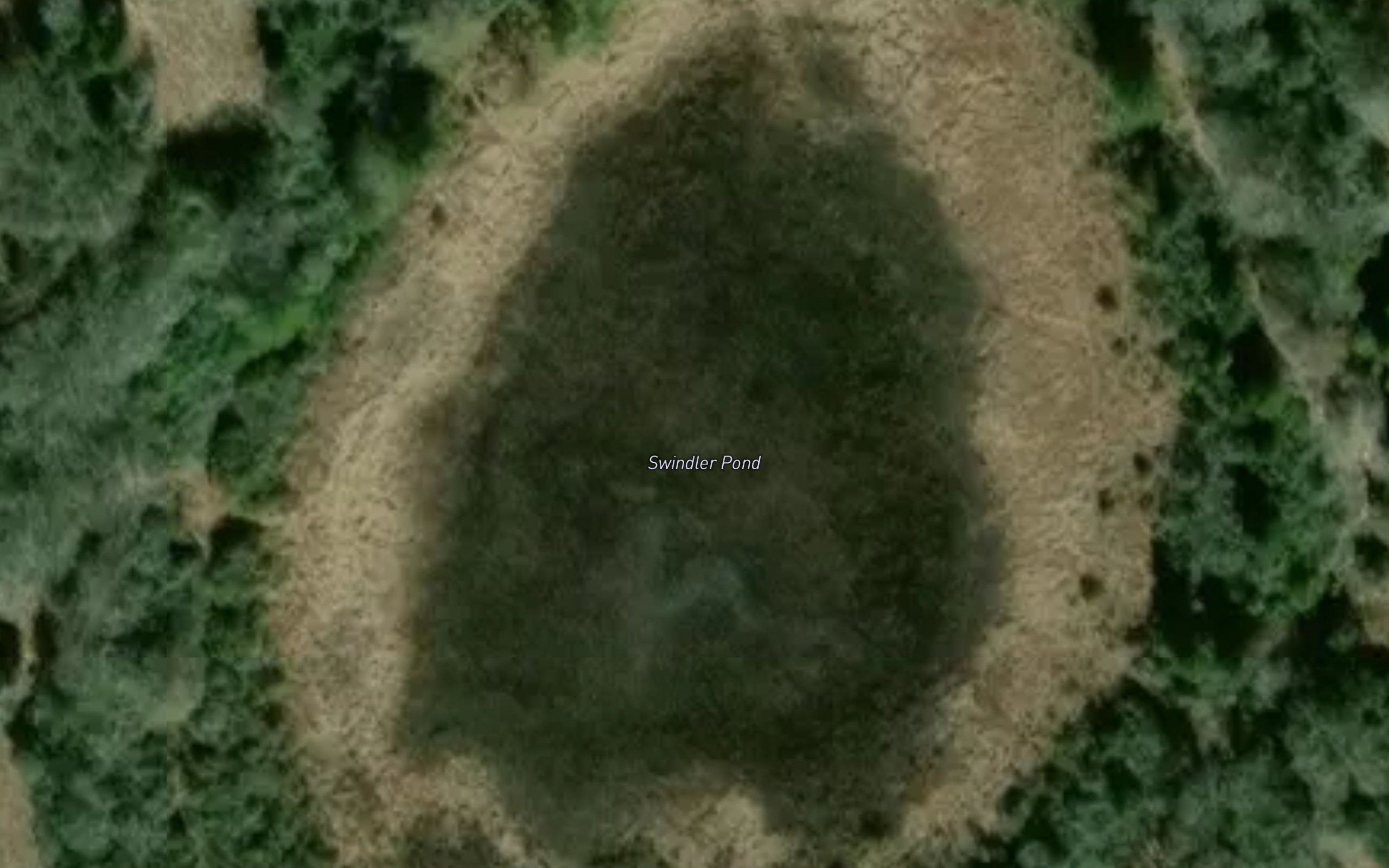 Swindler Pond