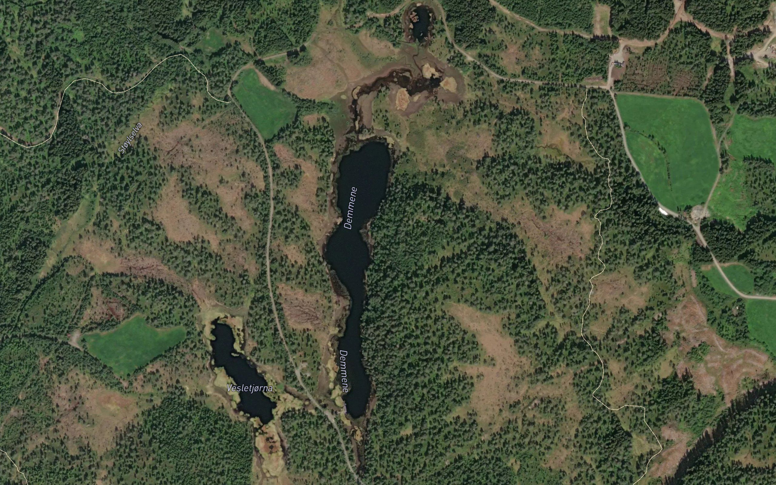 Ulvedalstjornane