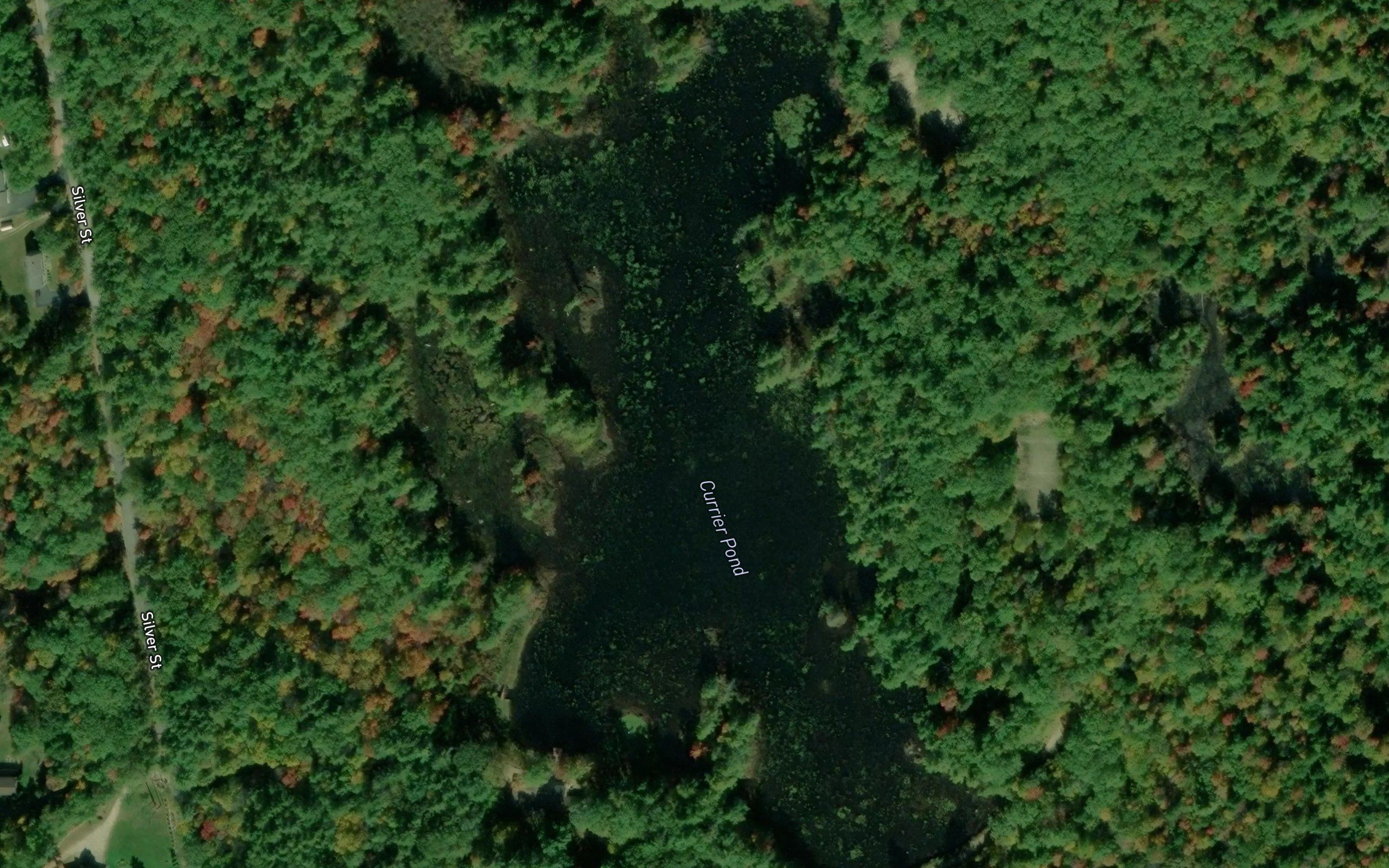 Currier Pond