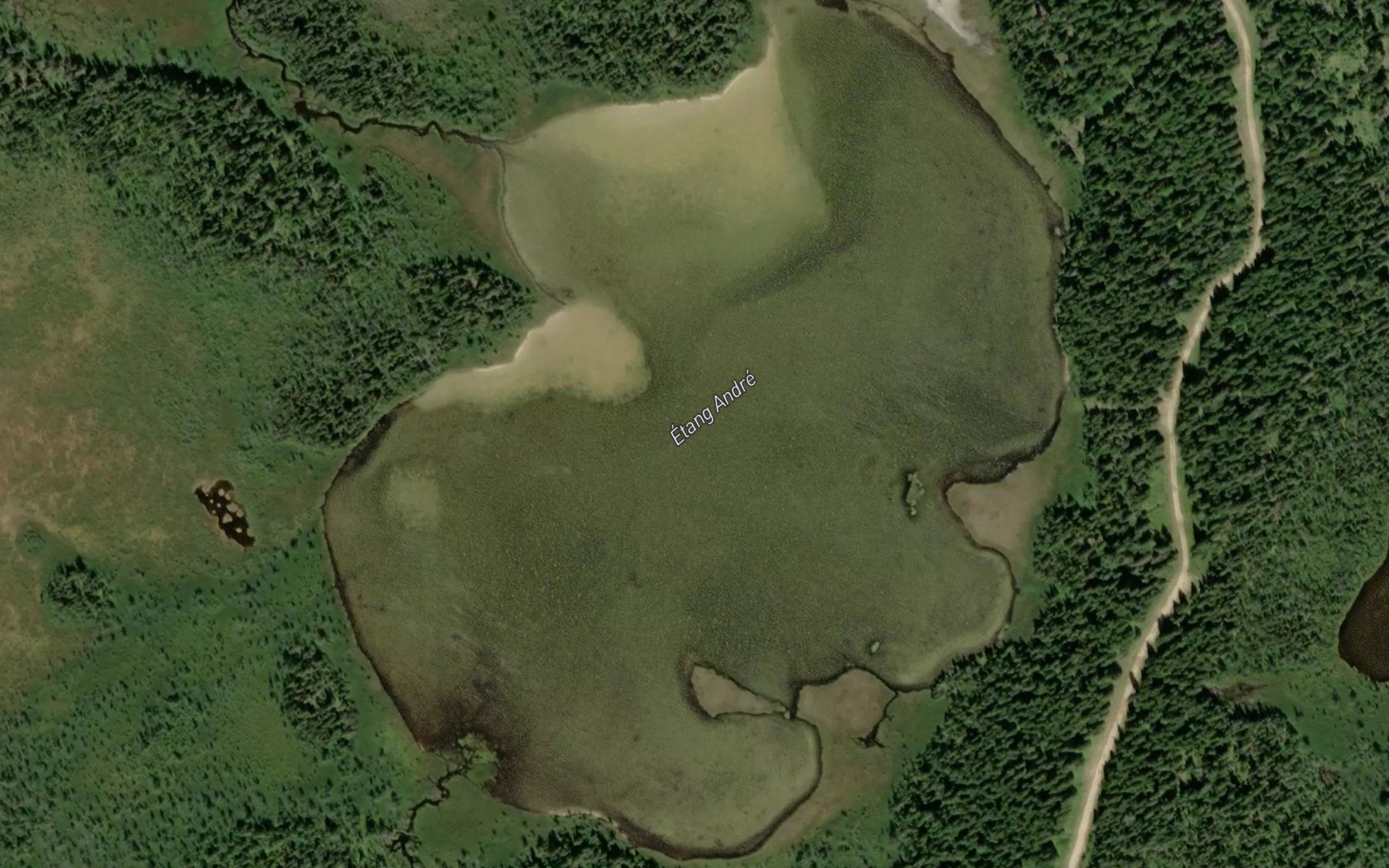 Satellite map of the Etang Andre