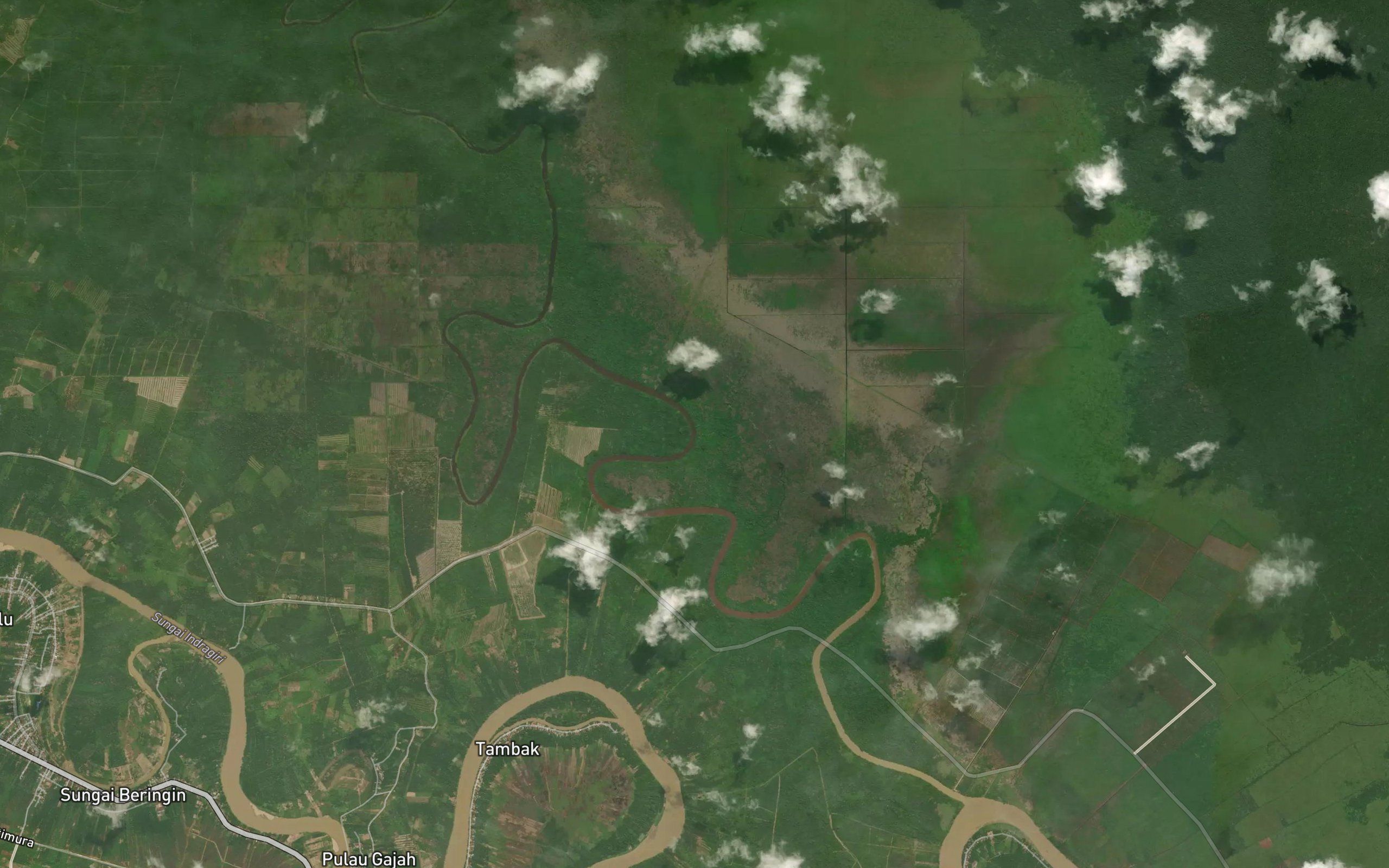 Sungai Sialang