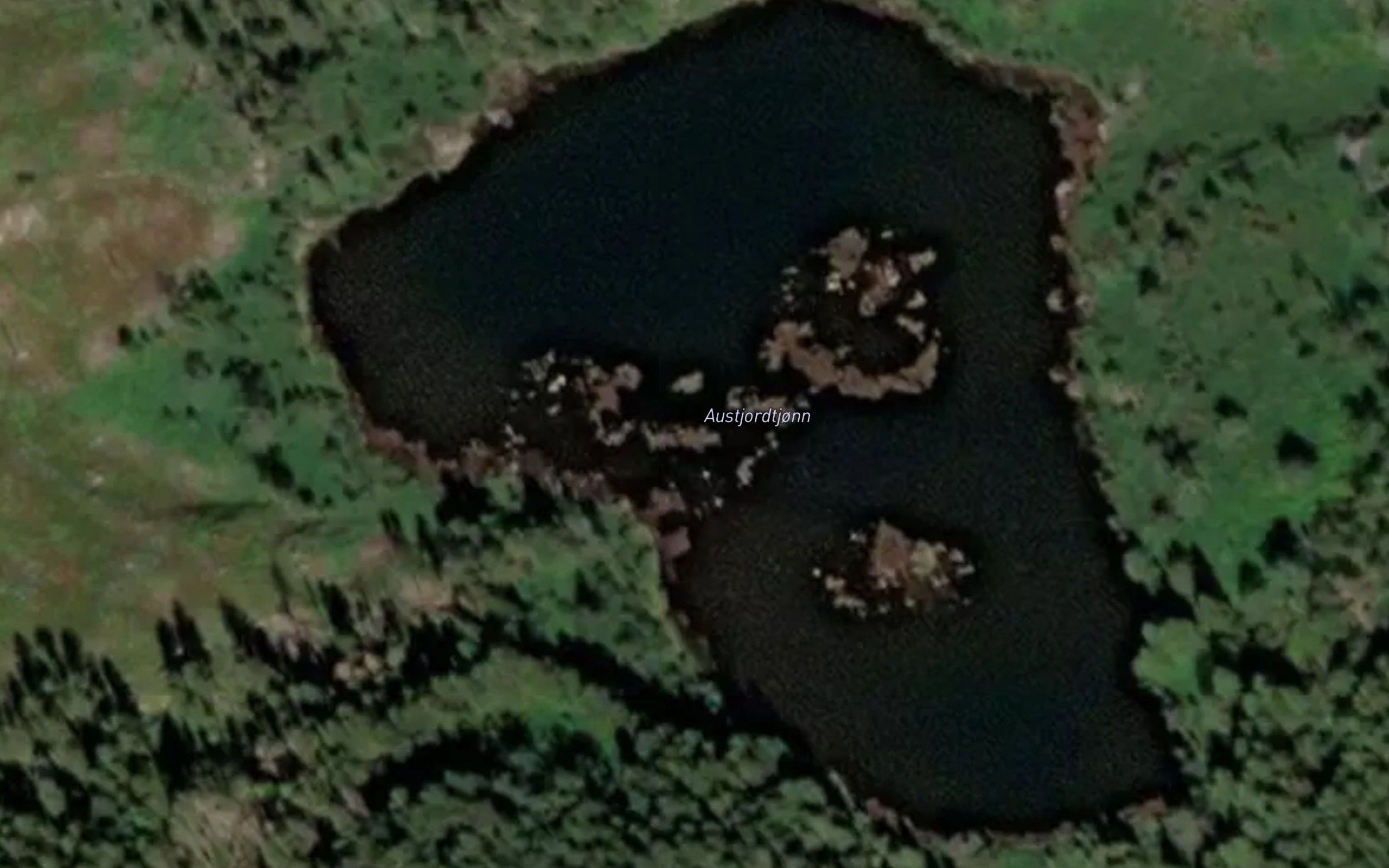 Austjordtjonn