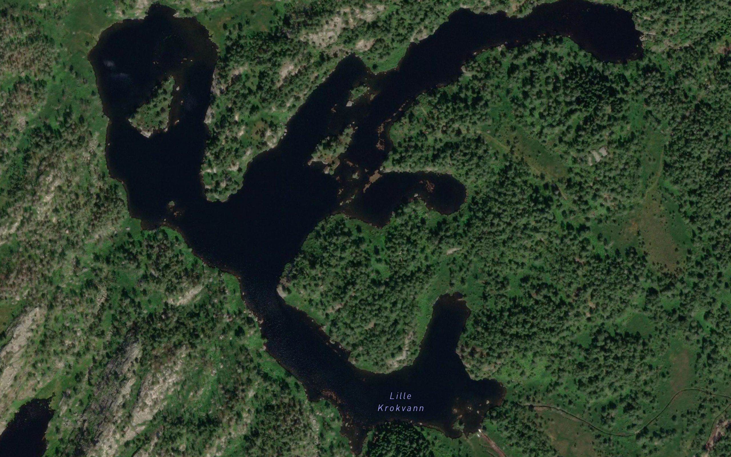 Lille Krokvann