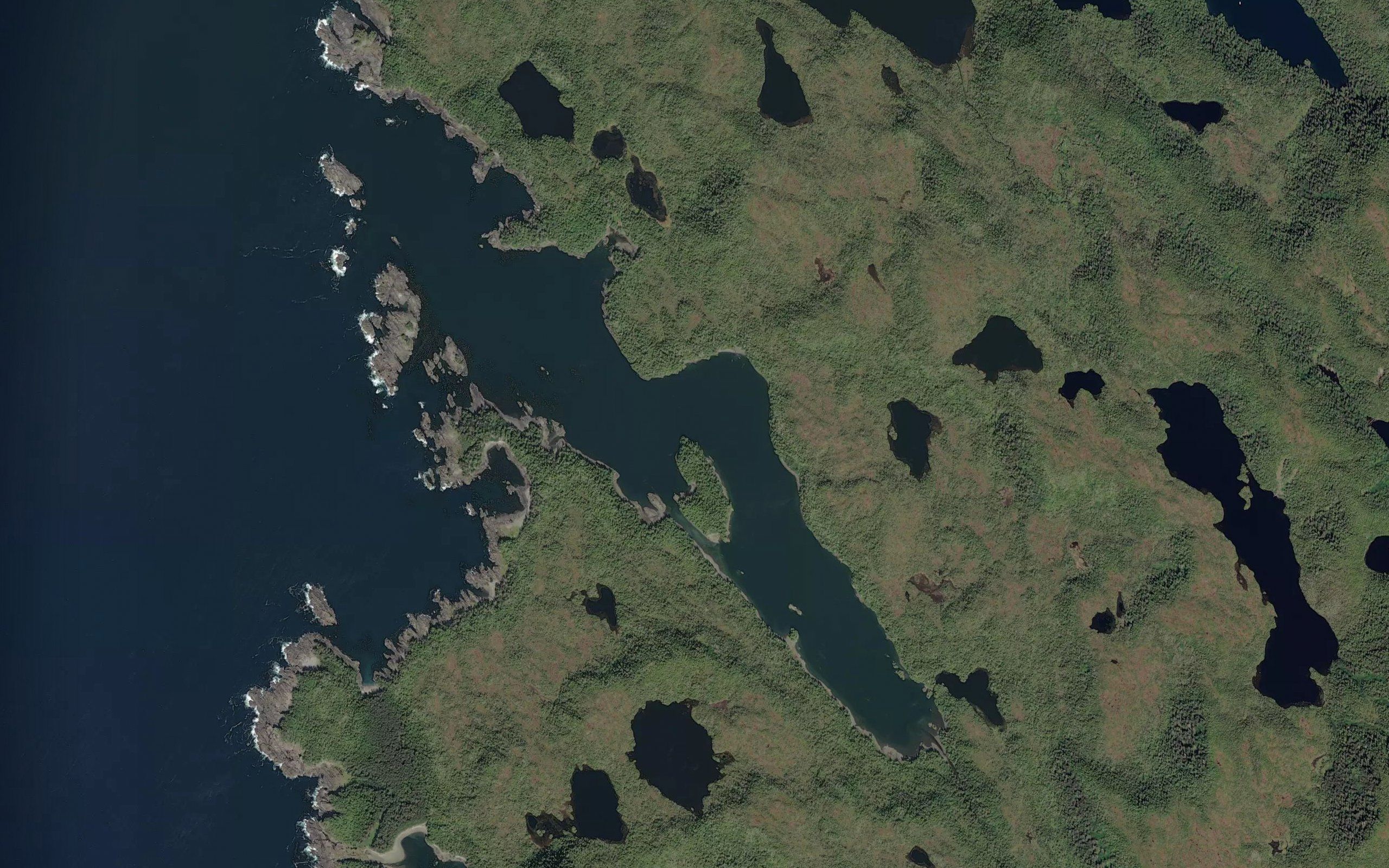 Still Harbor