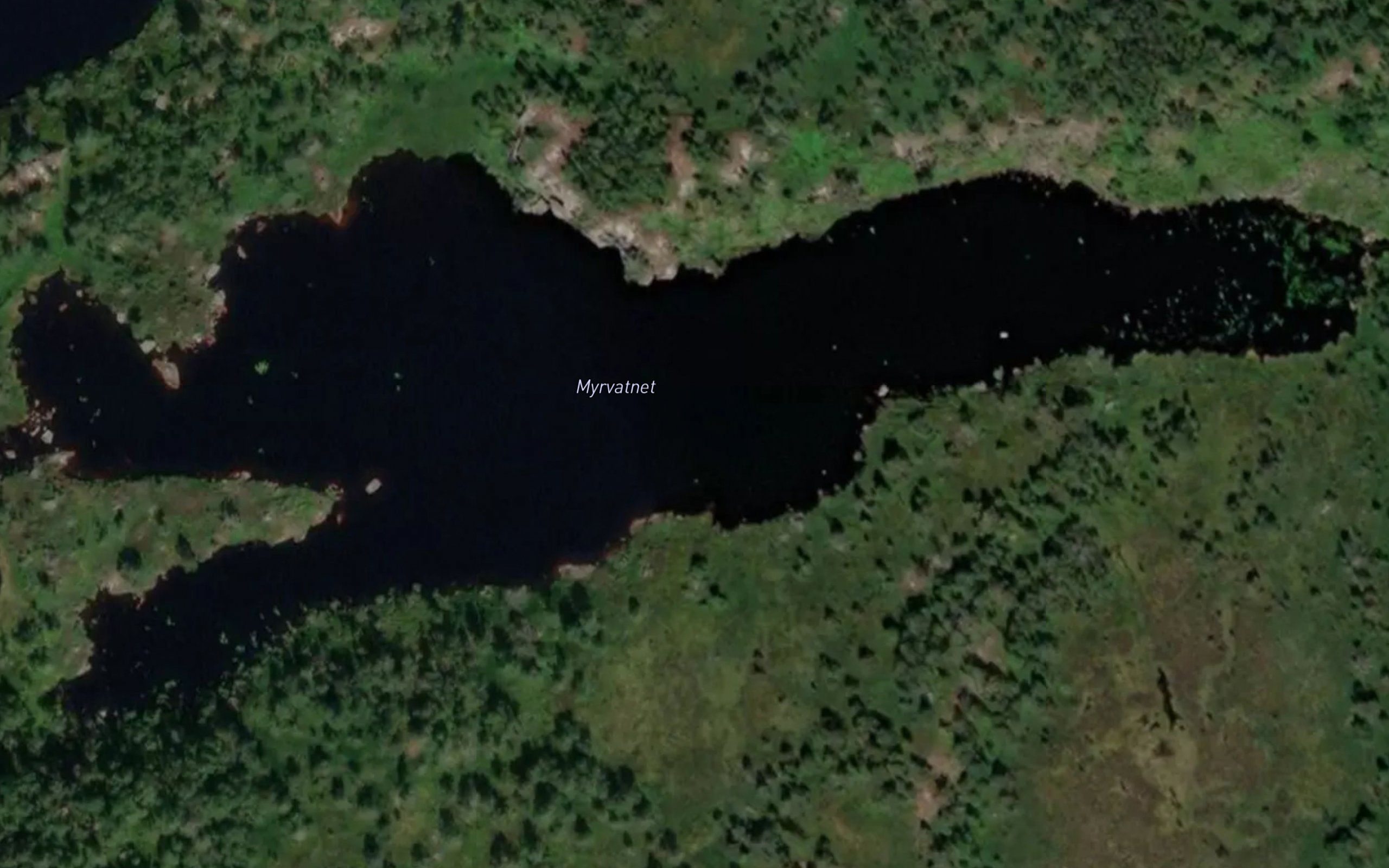 Myrvatnet