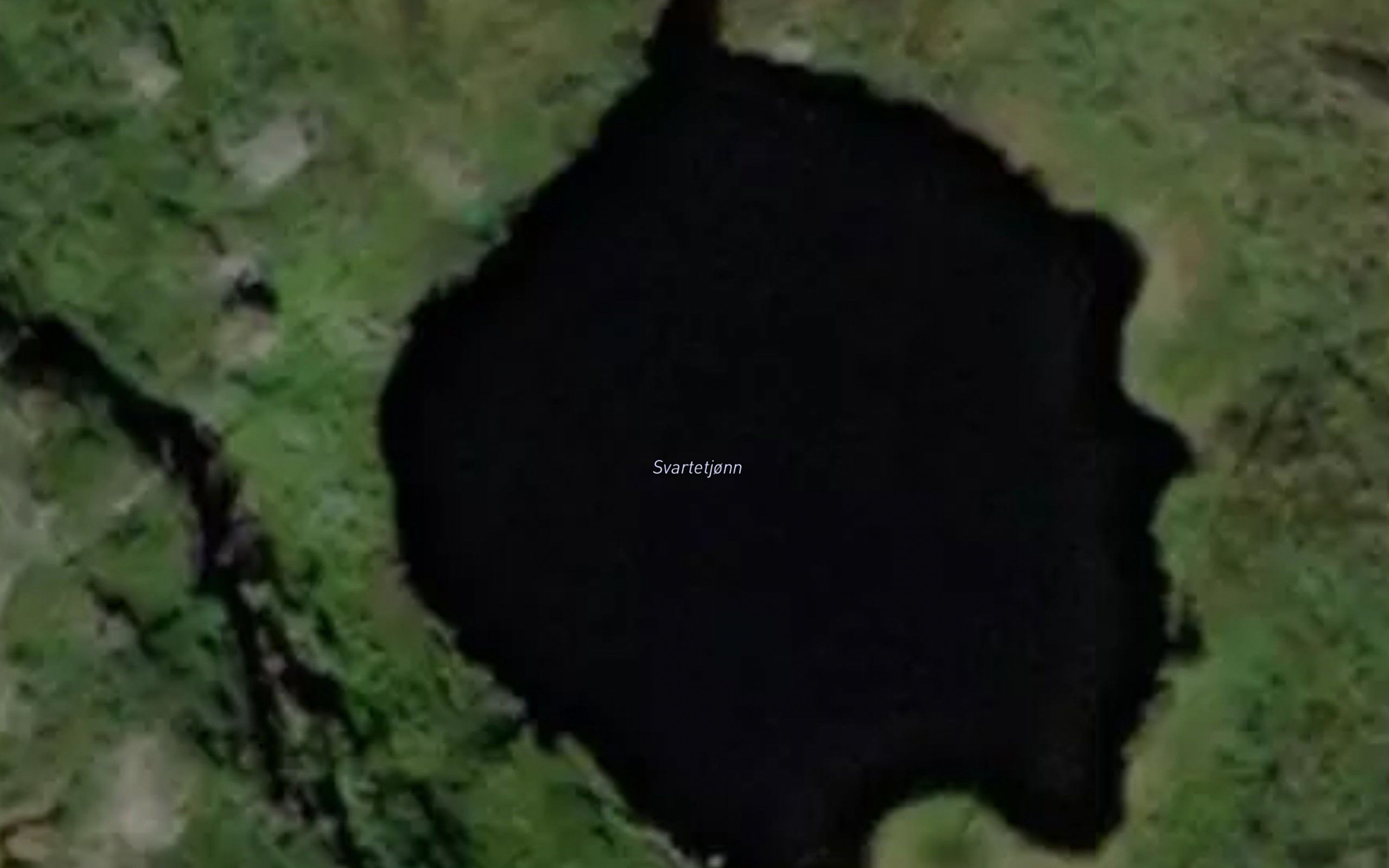 Svartetjonn