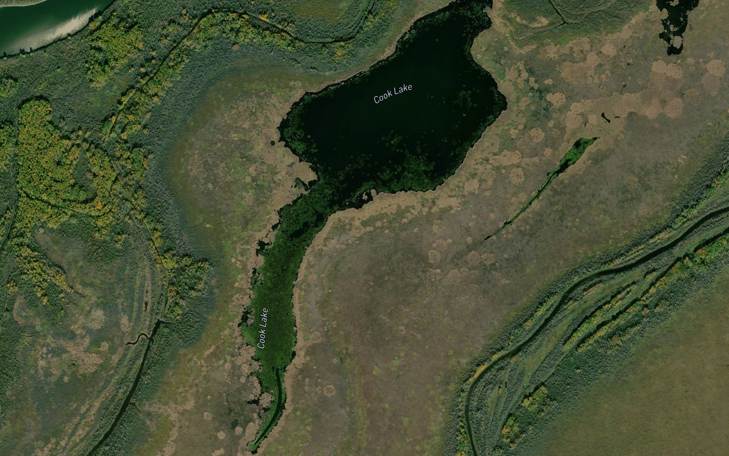 Cook Lake