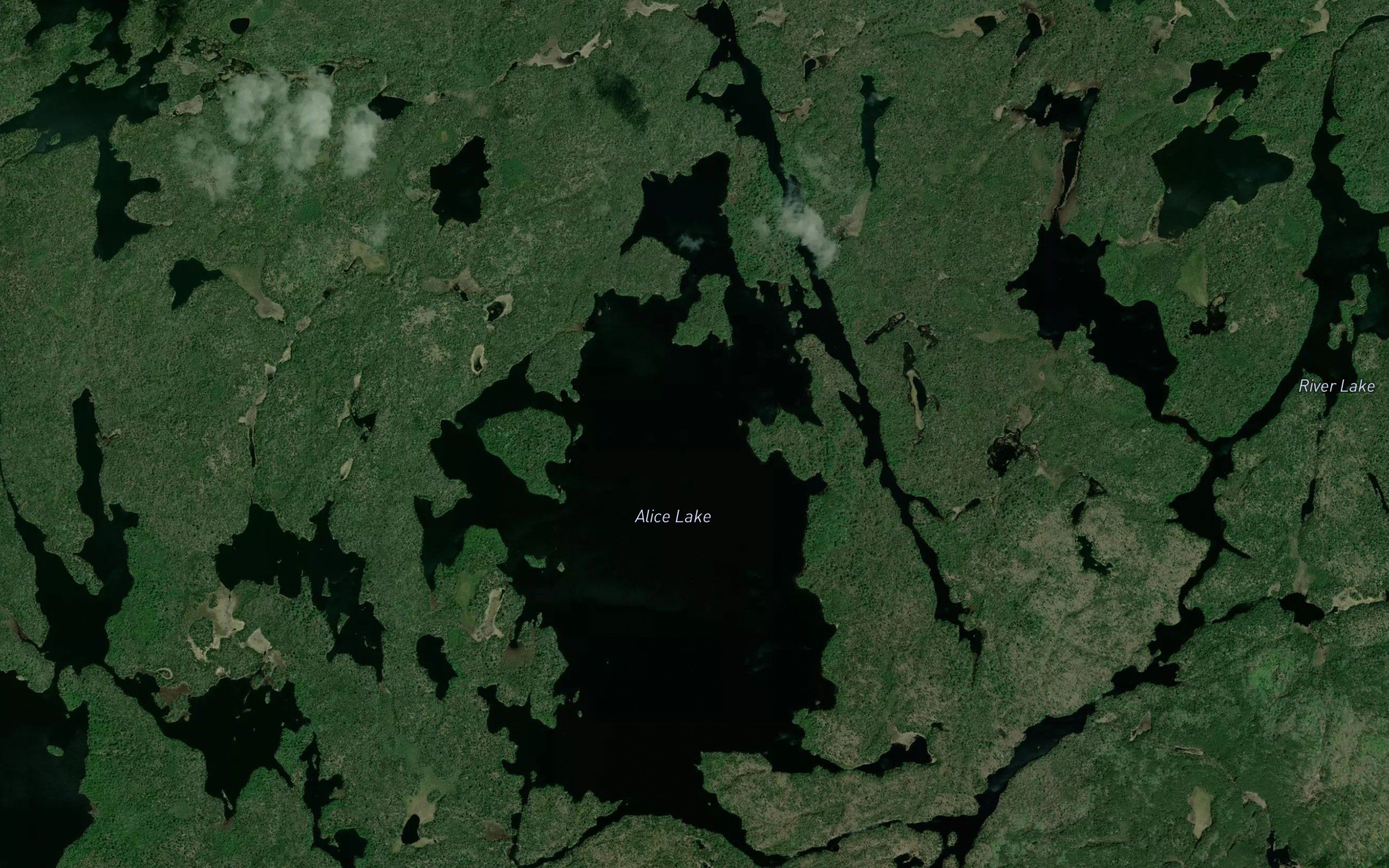 Alice Lake