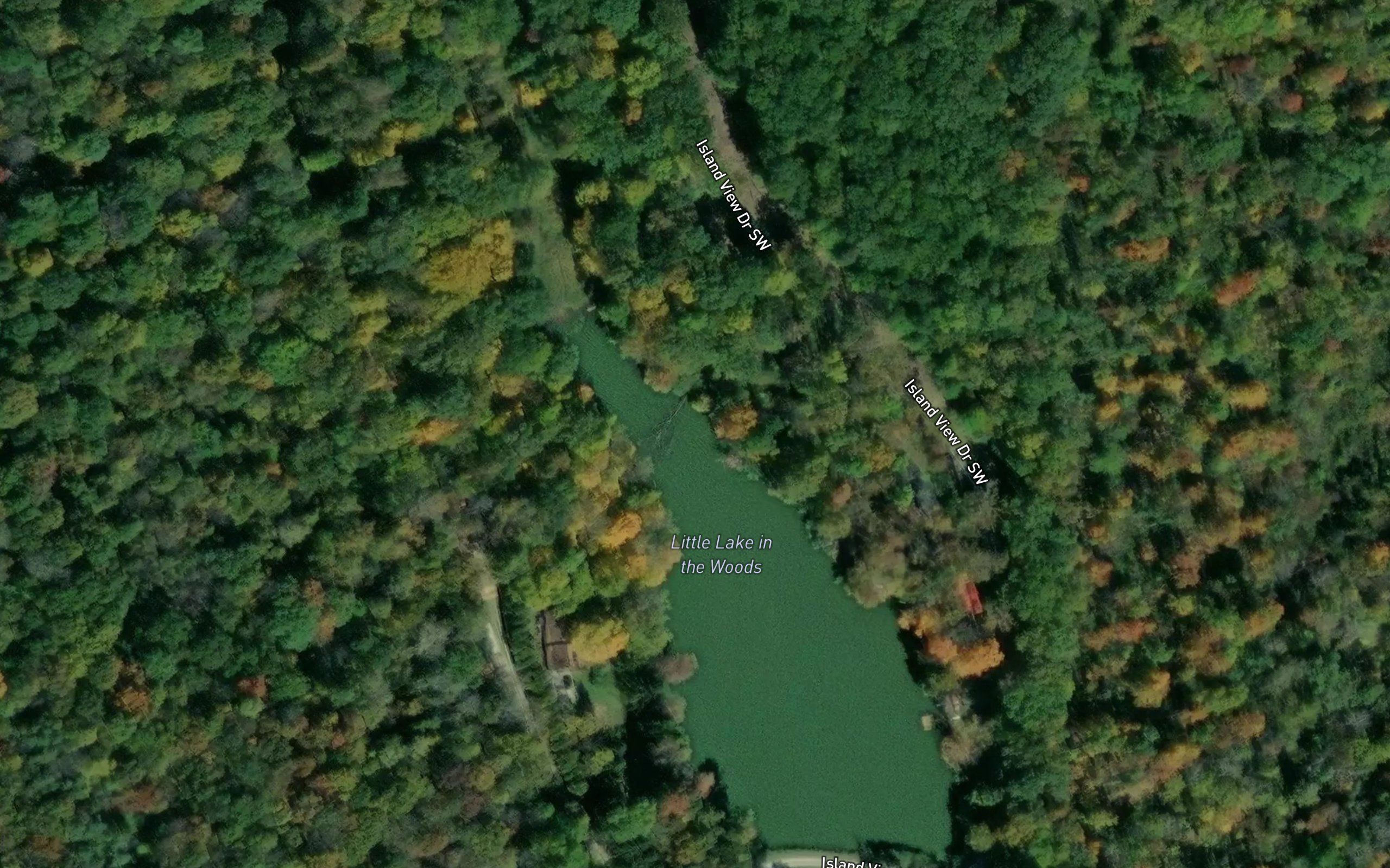 Little Lake in the Woods