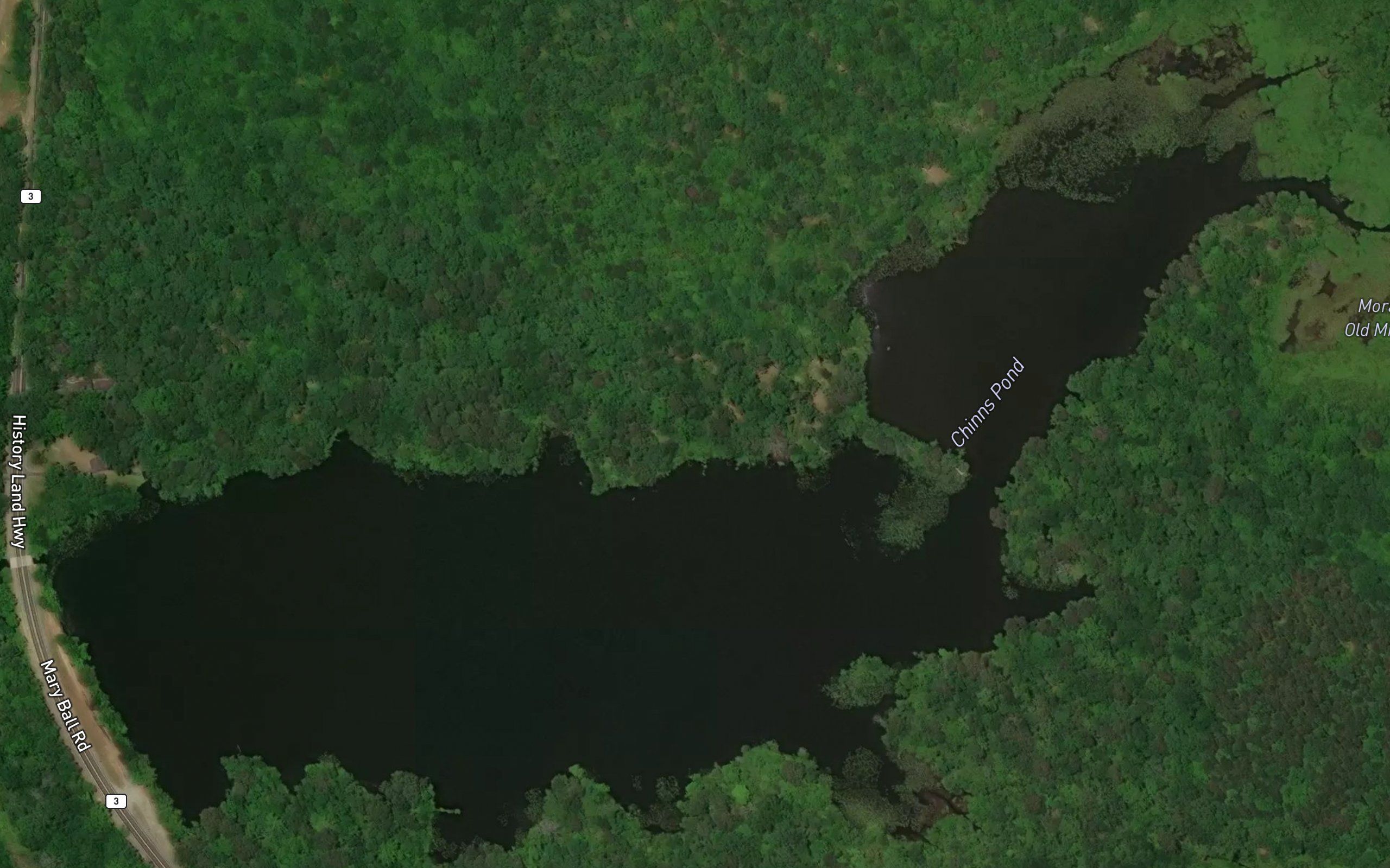 Chinns Pond