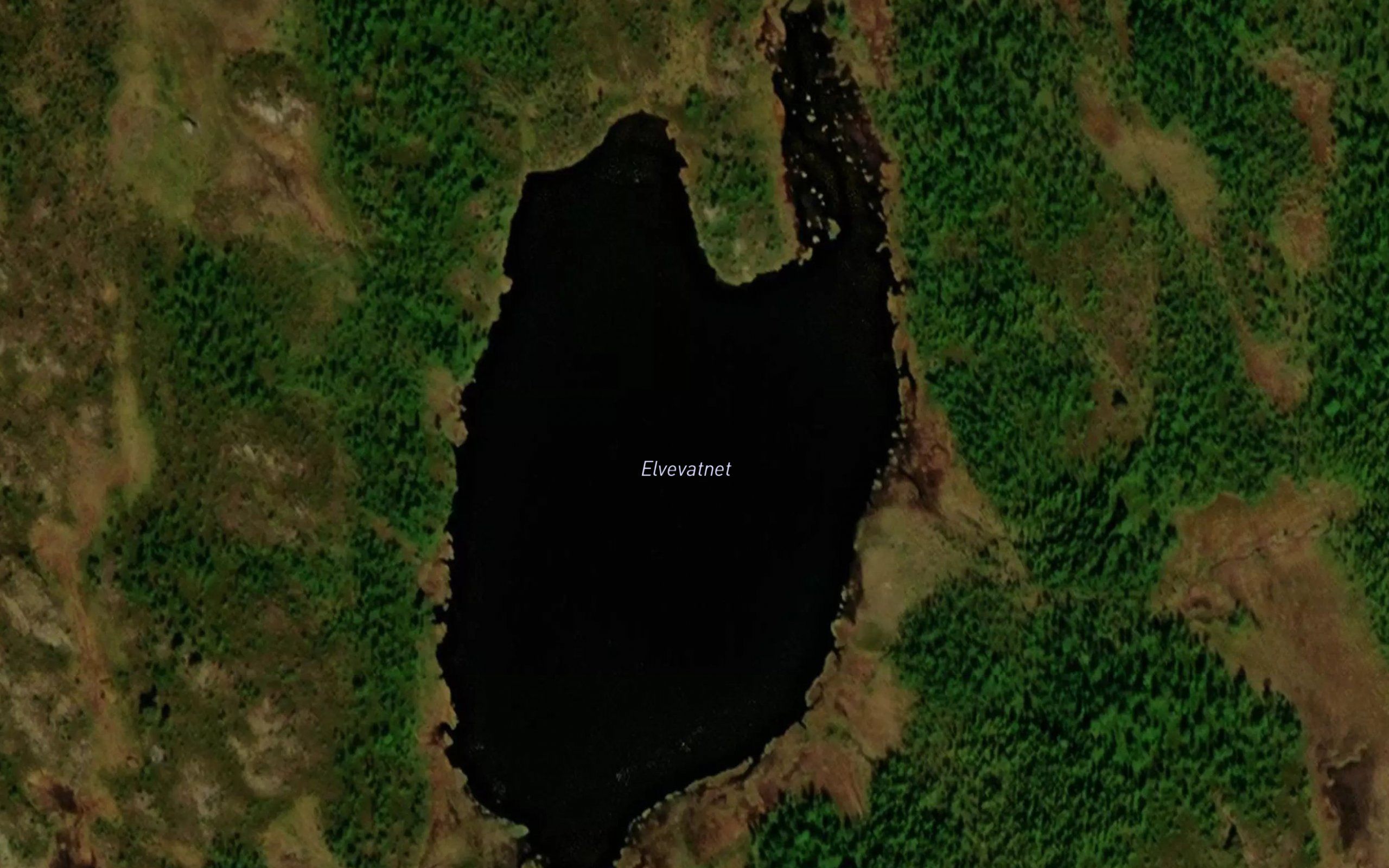 Elvevatnet