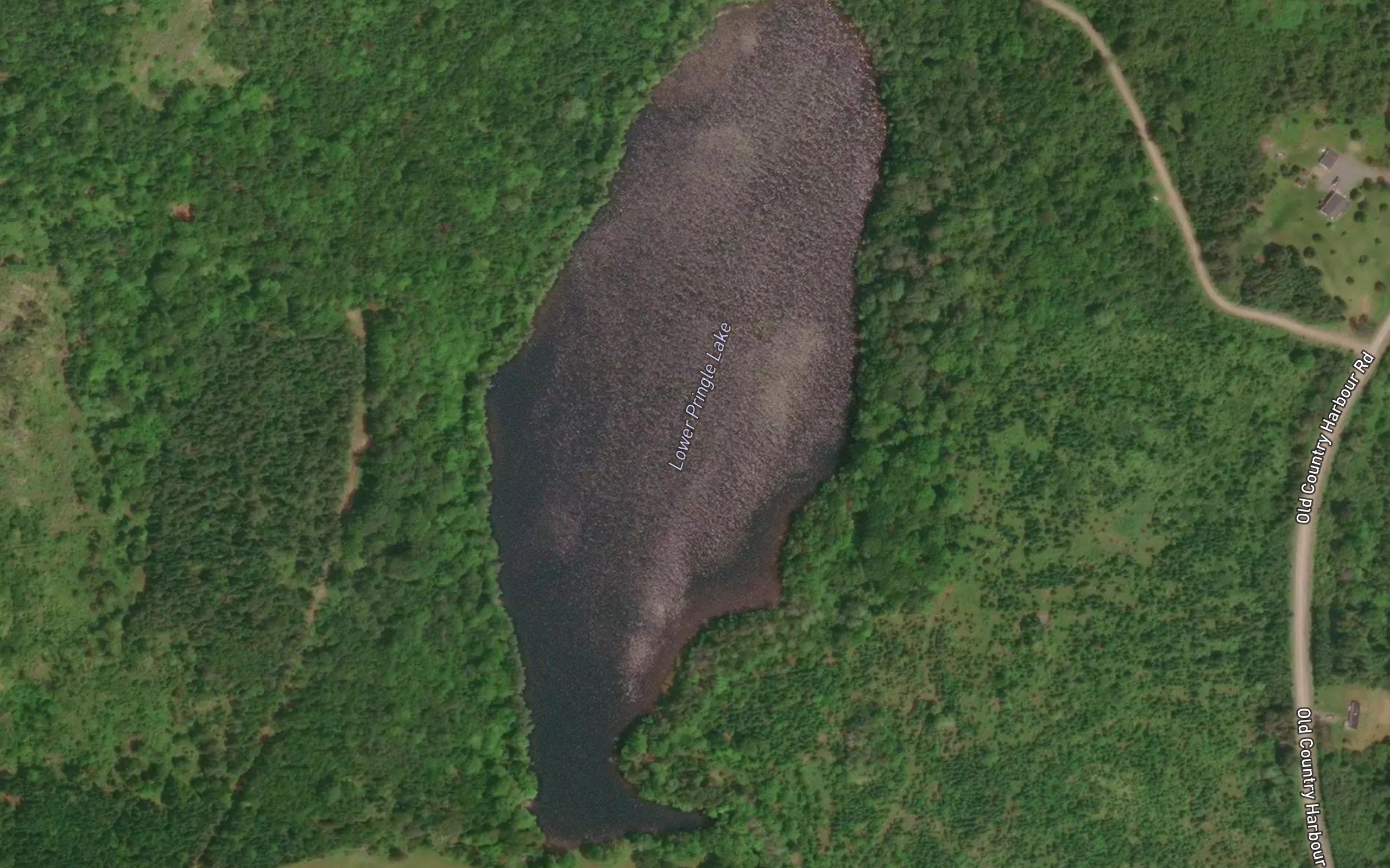 Lower Pringle Lake