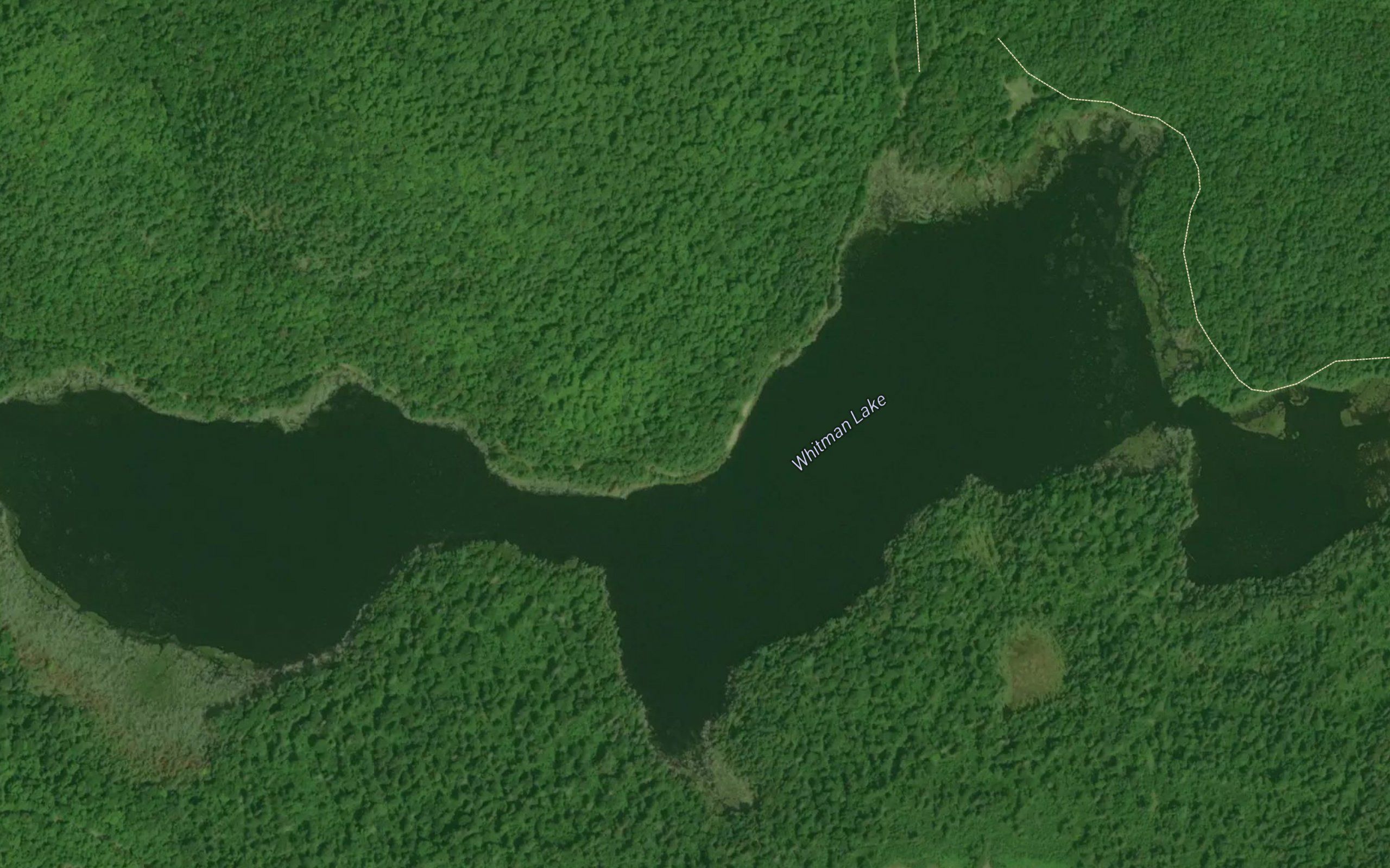 Whitman Lake
