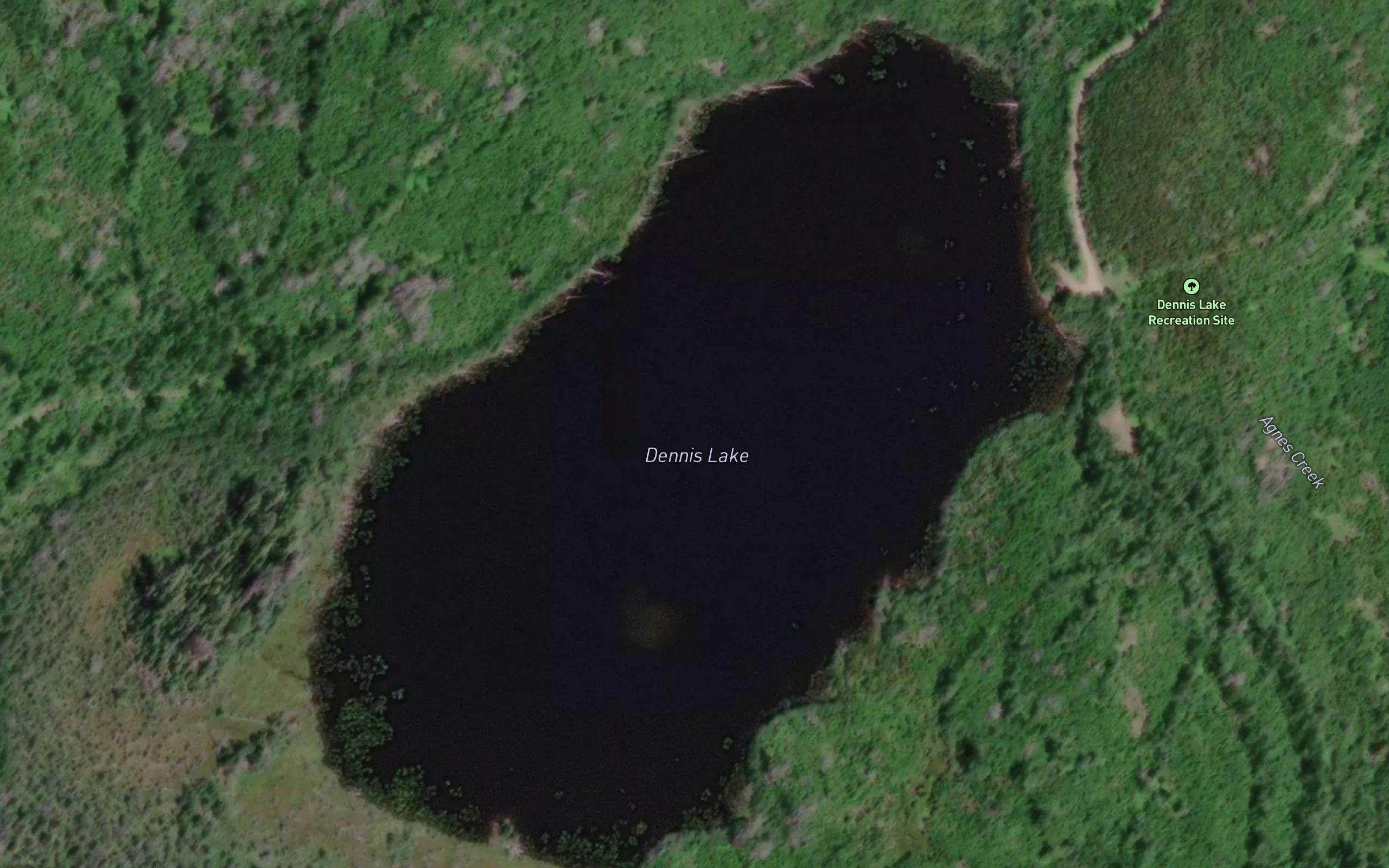 Dennis Lake
