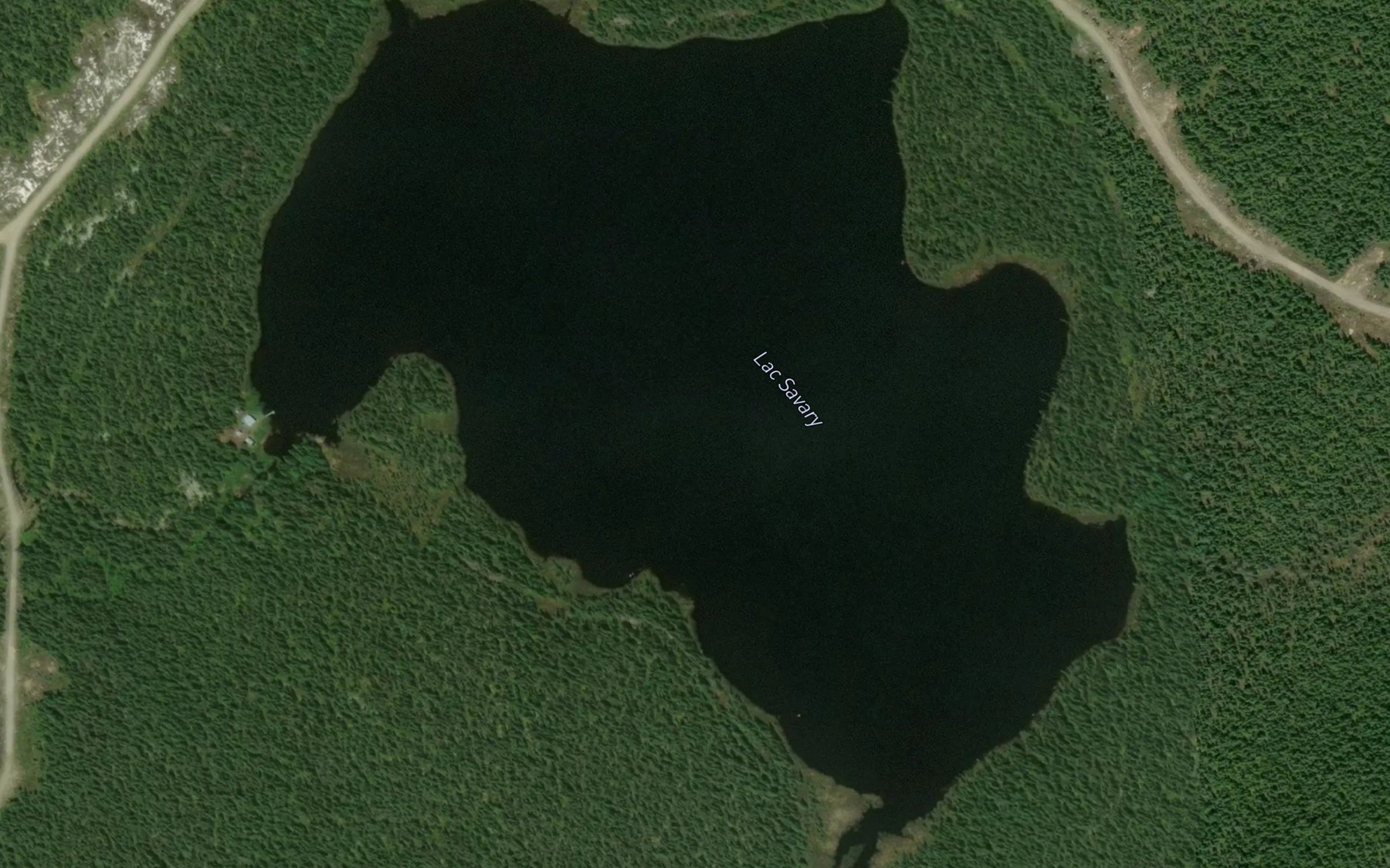 Satellite map of the Lac Savary