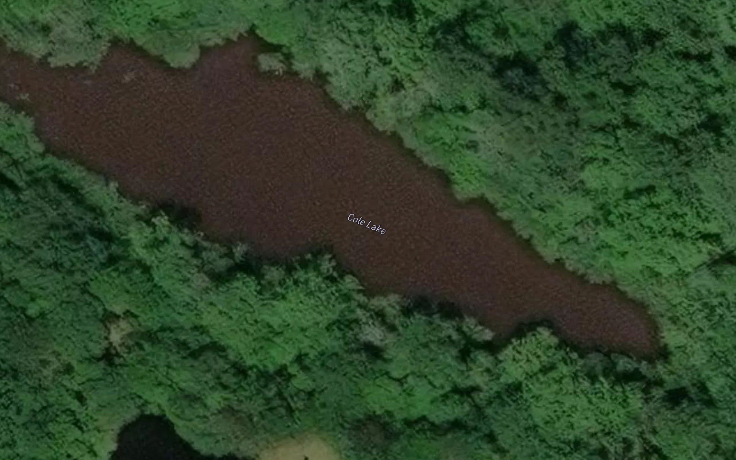 Cole Lake