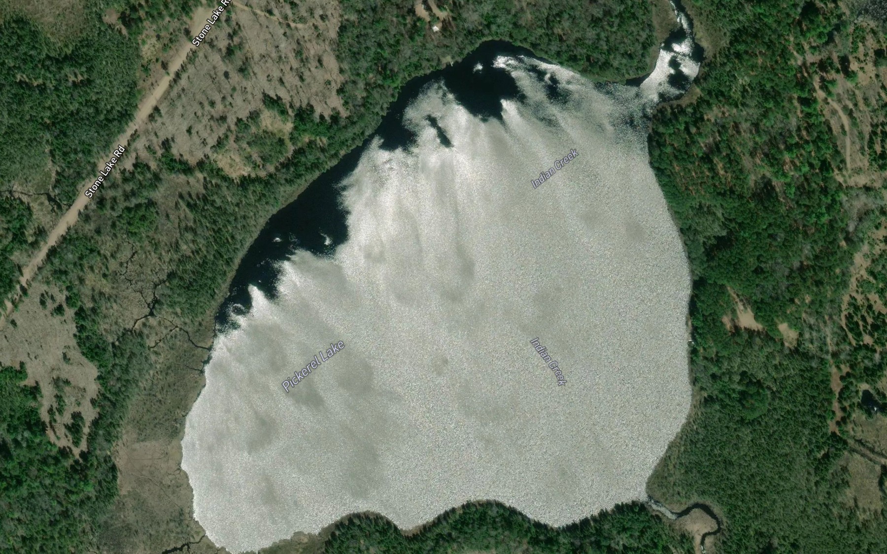 Satellite map of the Pickerel Lake