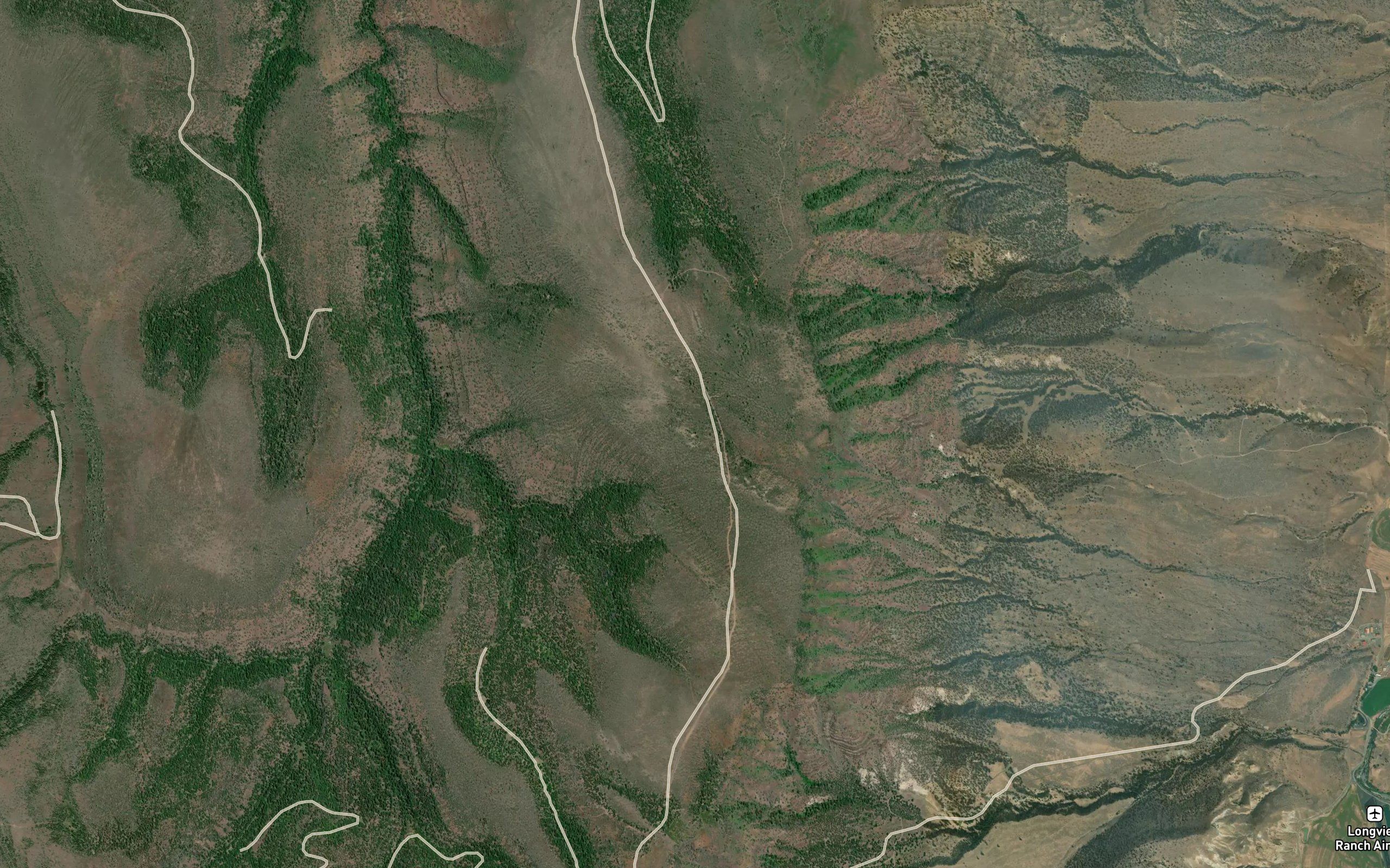Black Snag Springs