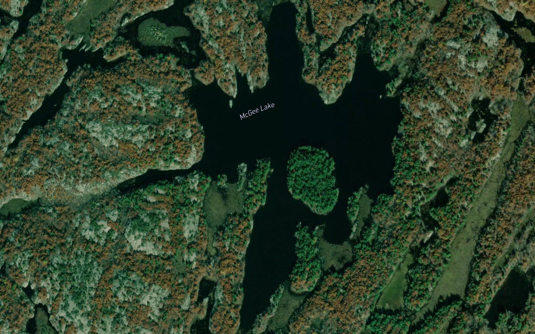 Satellite map of the McGee Lake