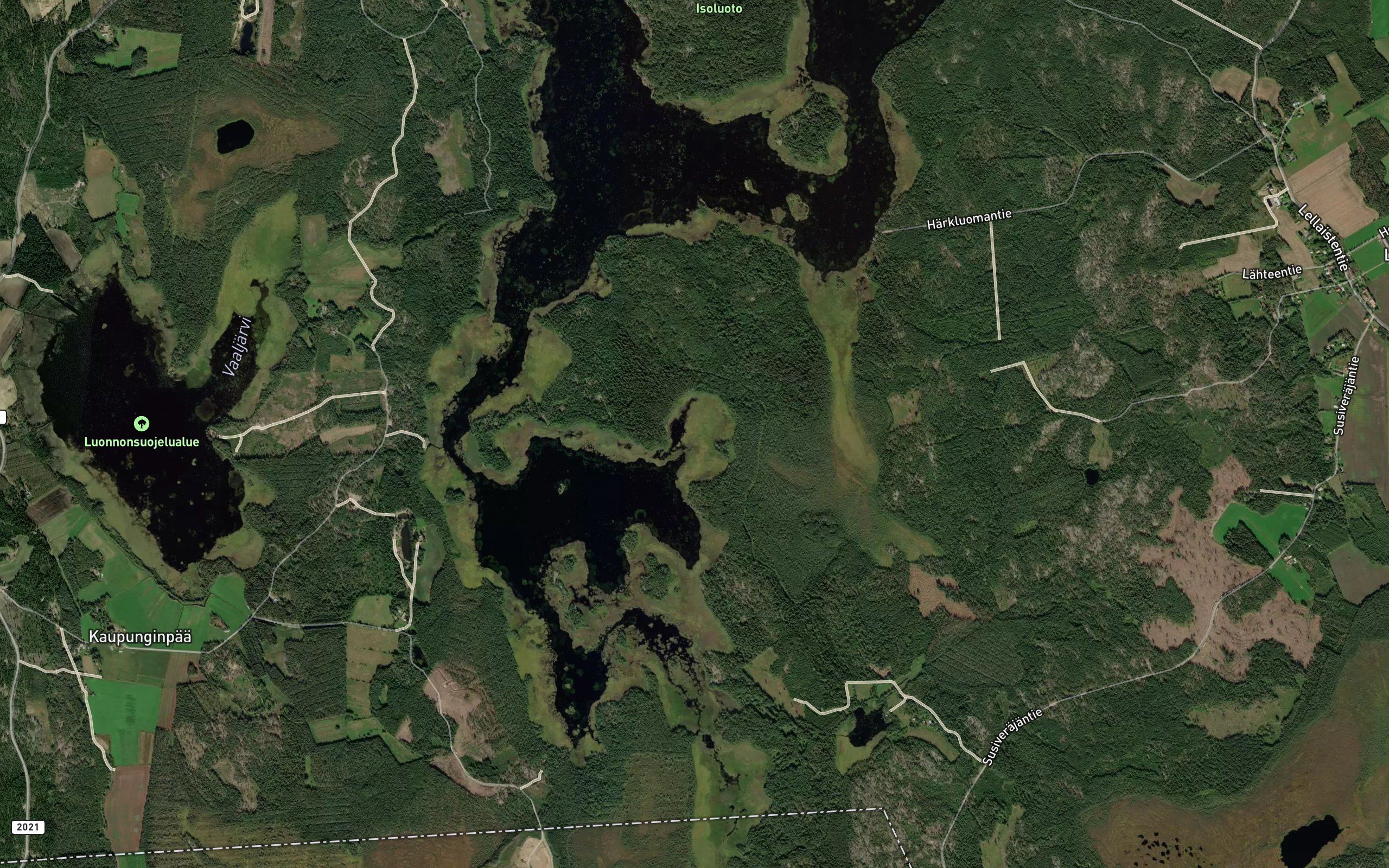 Kiimalahti