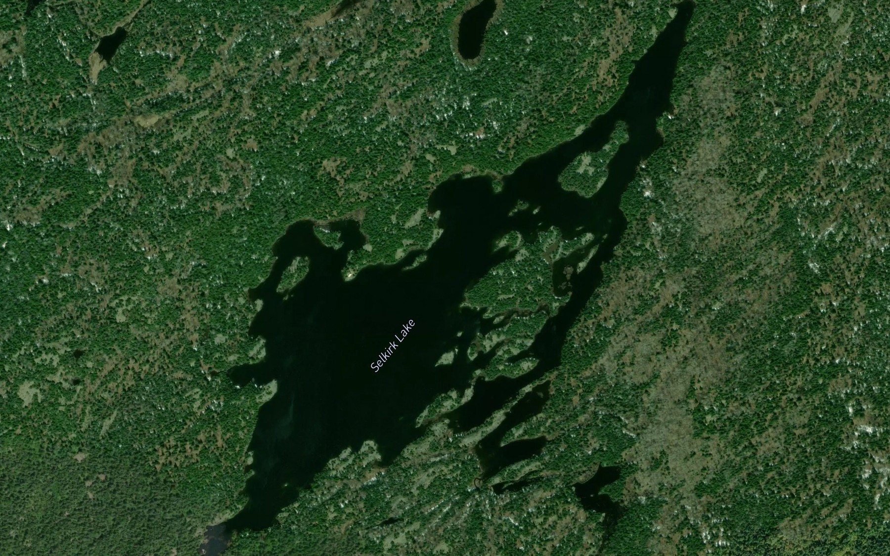 Satellite map of the Selkirk Lake