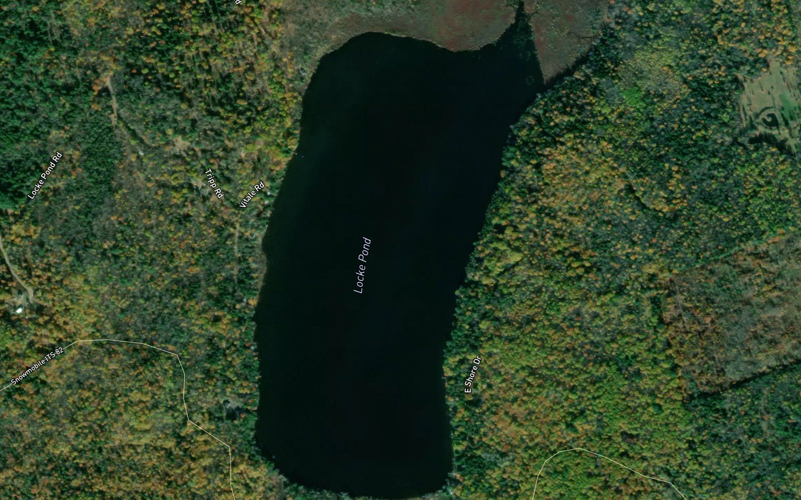Locke Pond