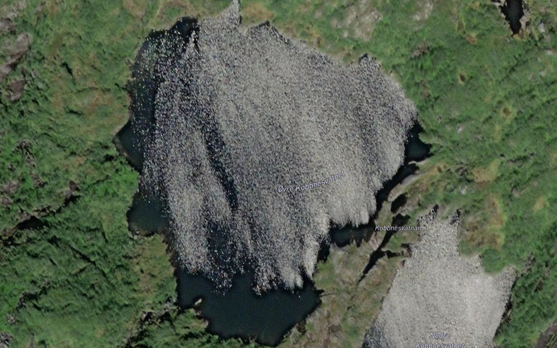 Satellite map of the Kobbnesvatnet,ovre