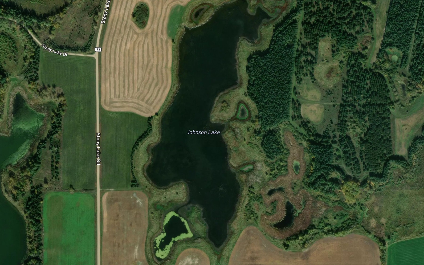 Satellite map of the Johnson Lake