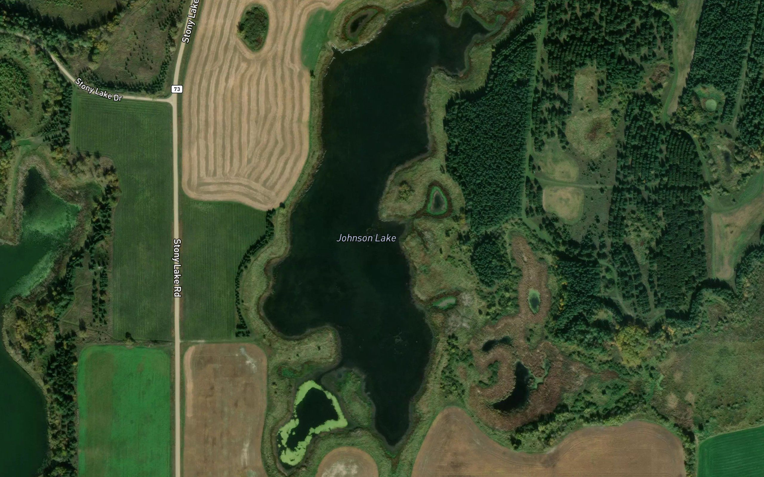 Johnson Lake