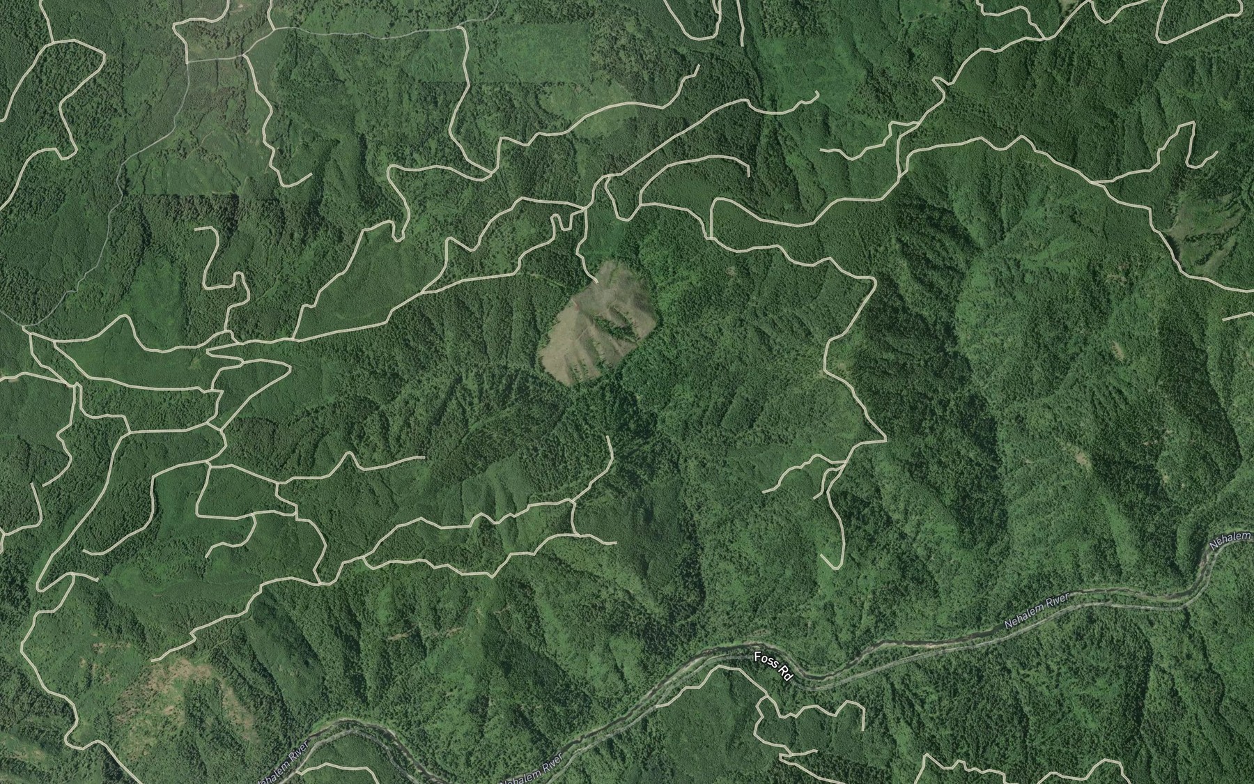 Satellite map of the Rector Creek