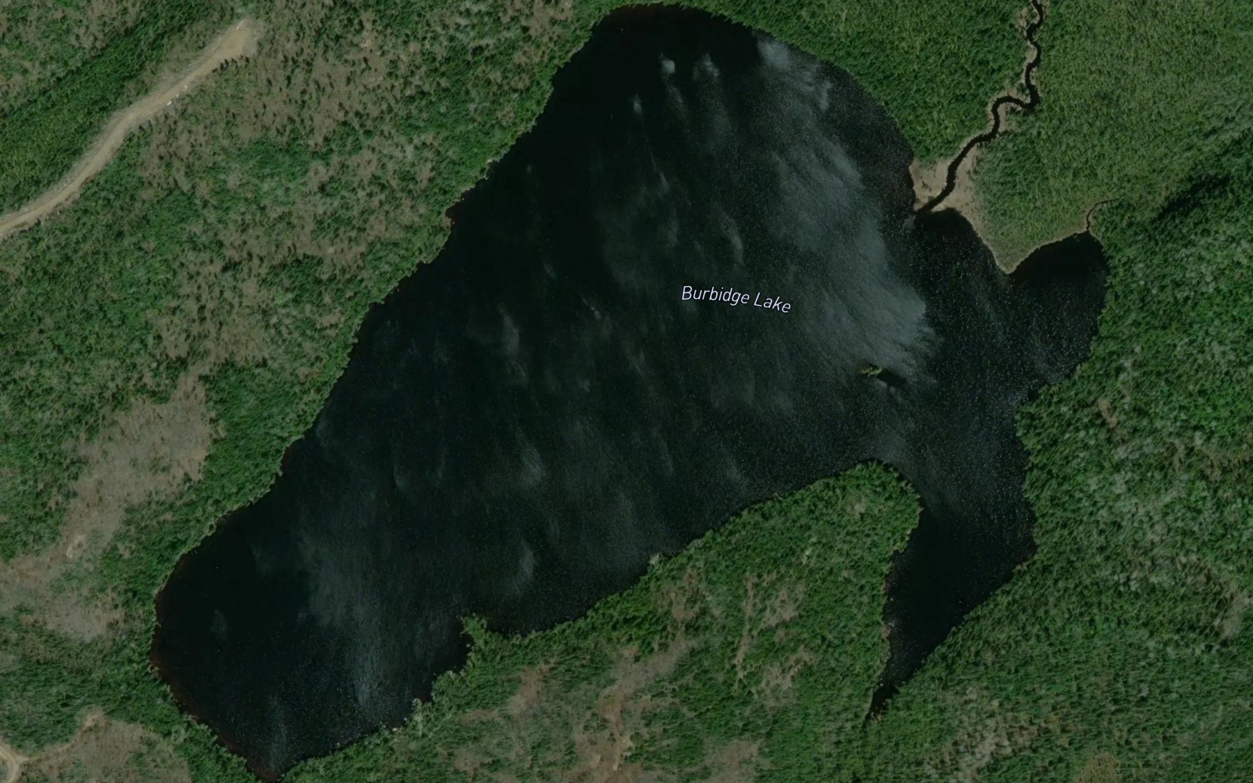 Satellite map of the Burbidge Lake