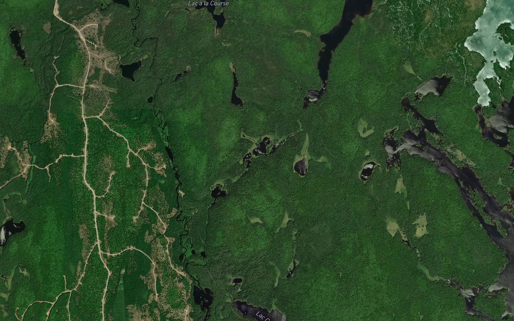 Satellite map of the Lac de la Passe