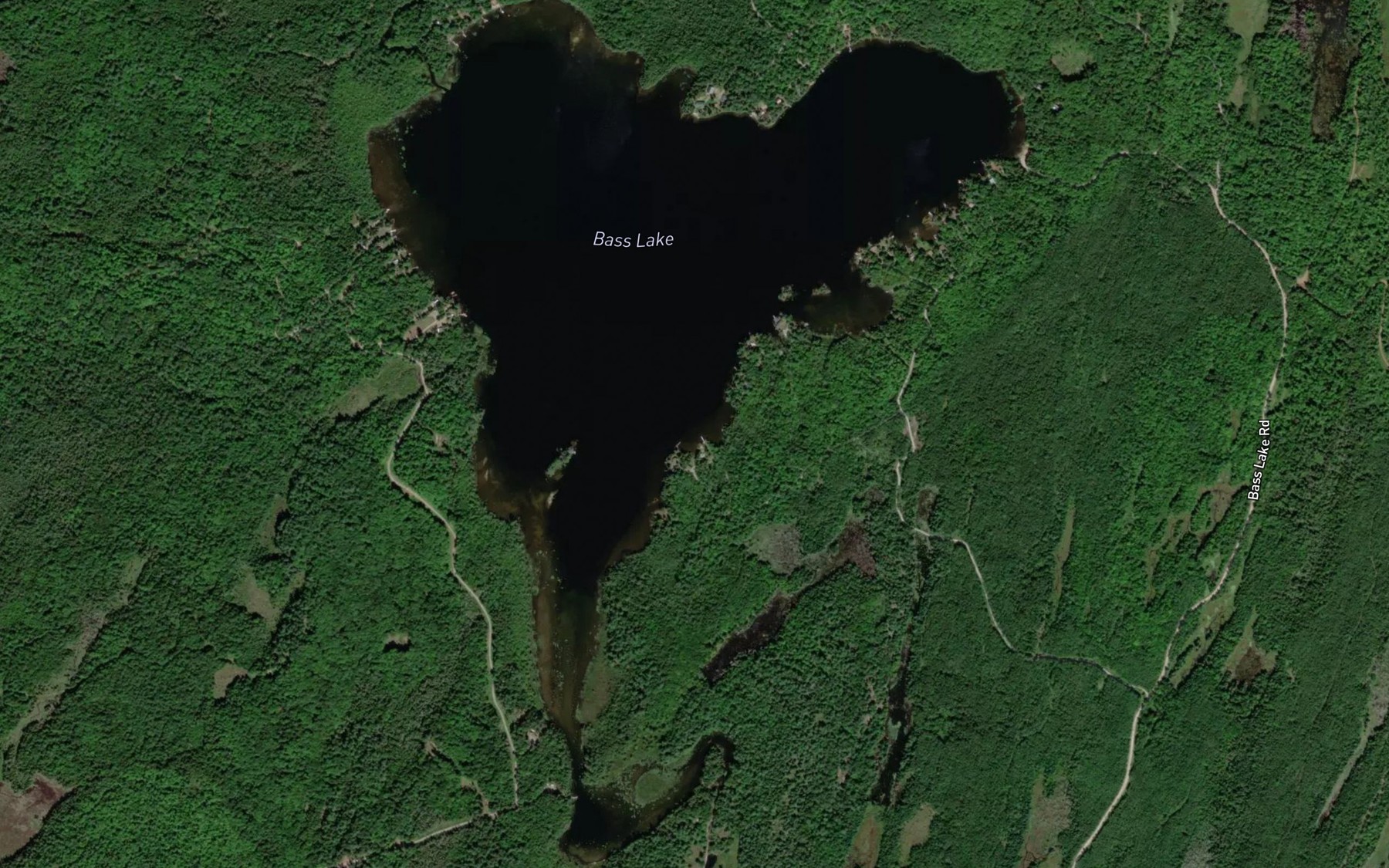 Satellite map of the Bass Lake