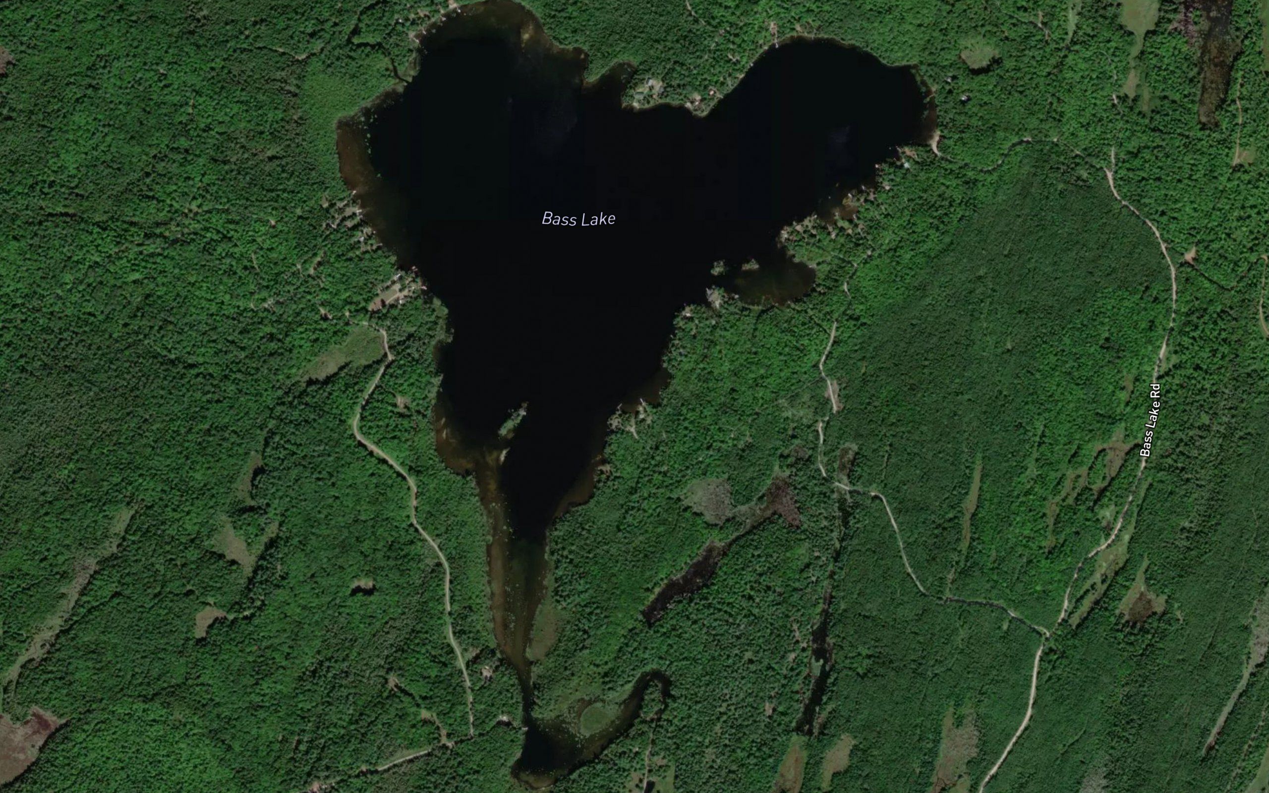 Bass Lake
