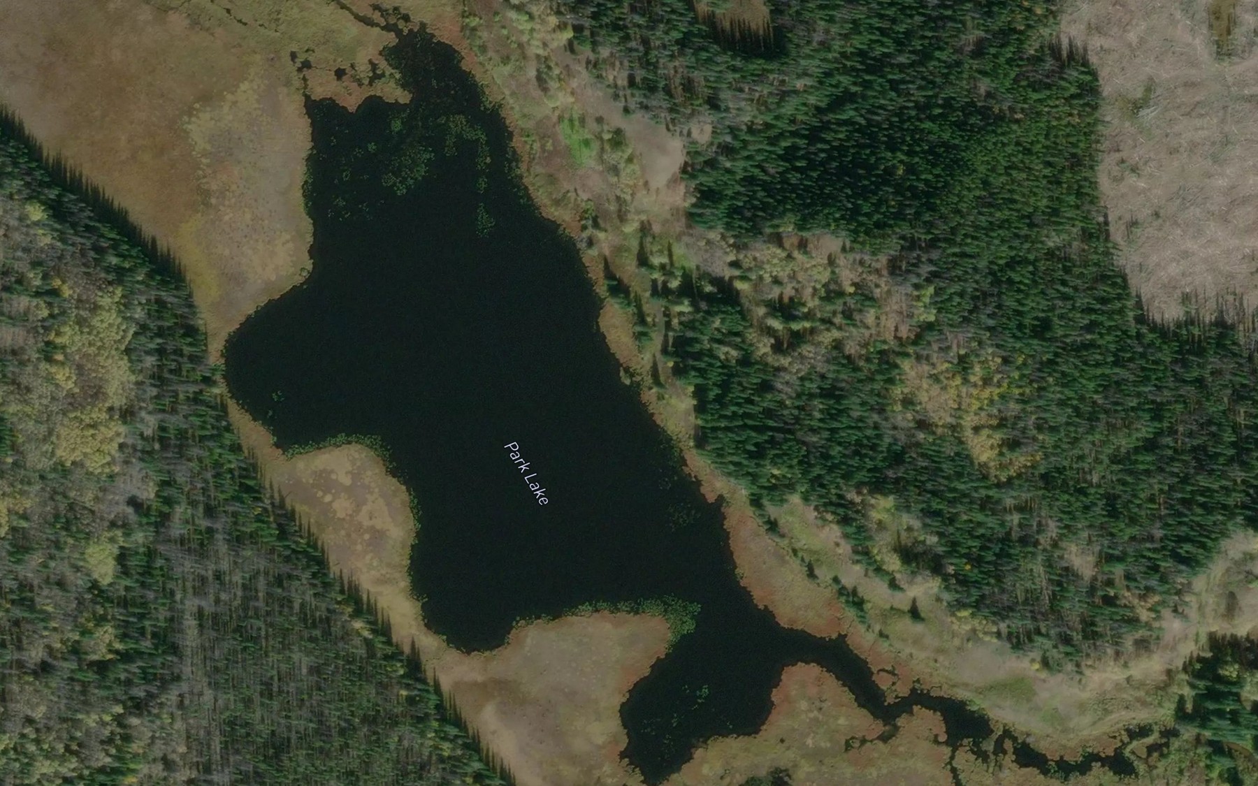 Satellite map of the Park Lake