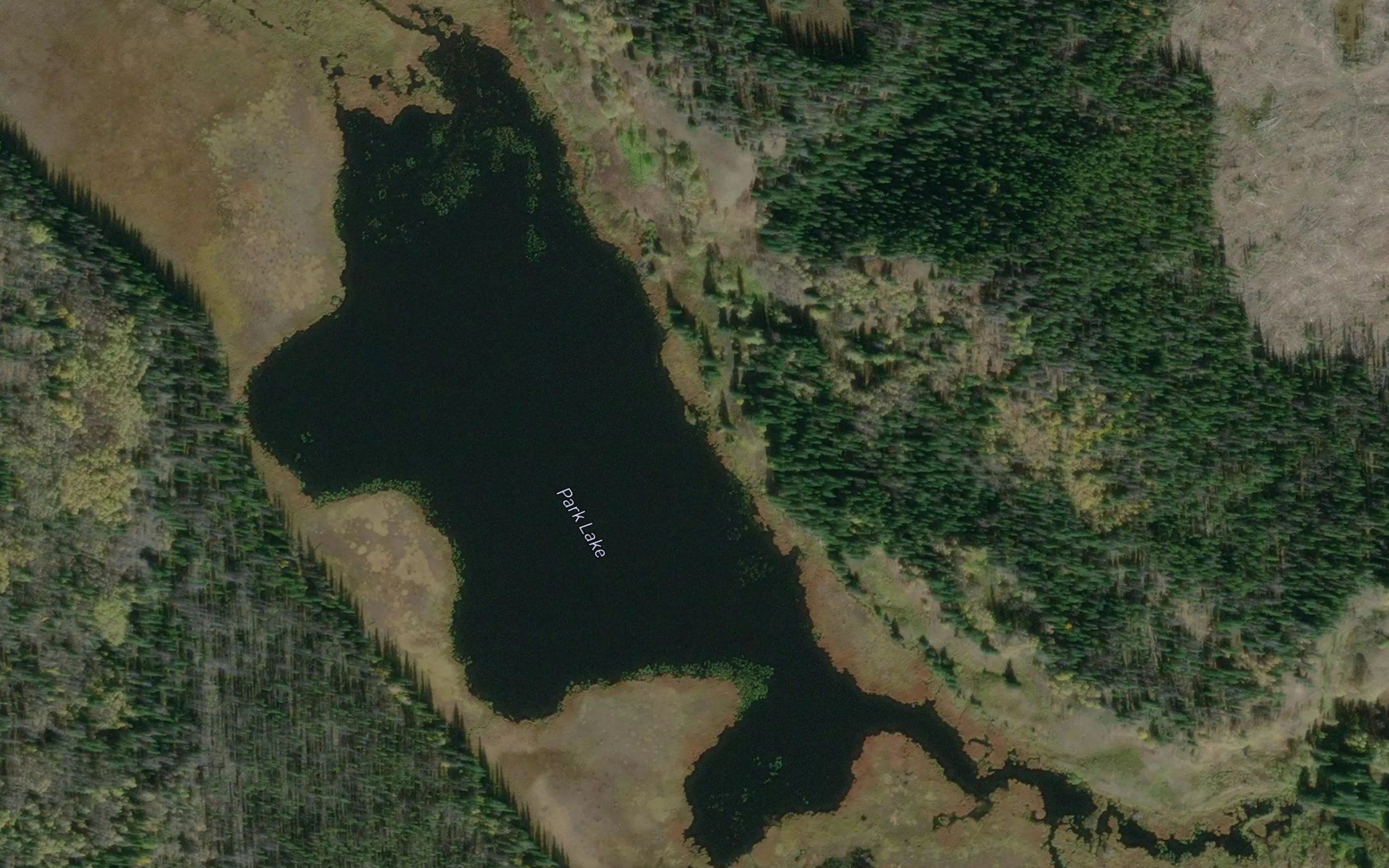 Park Lake